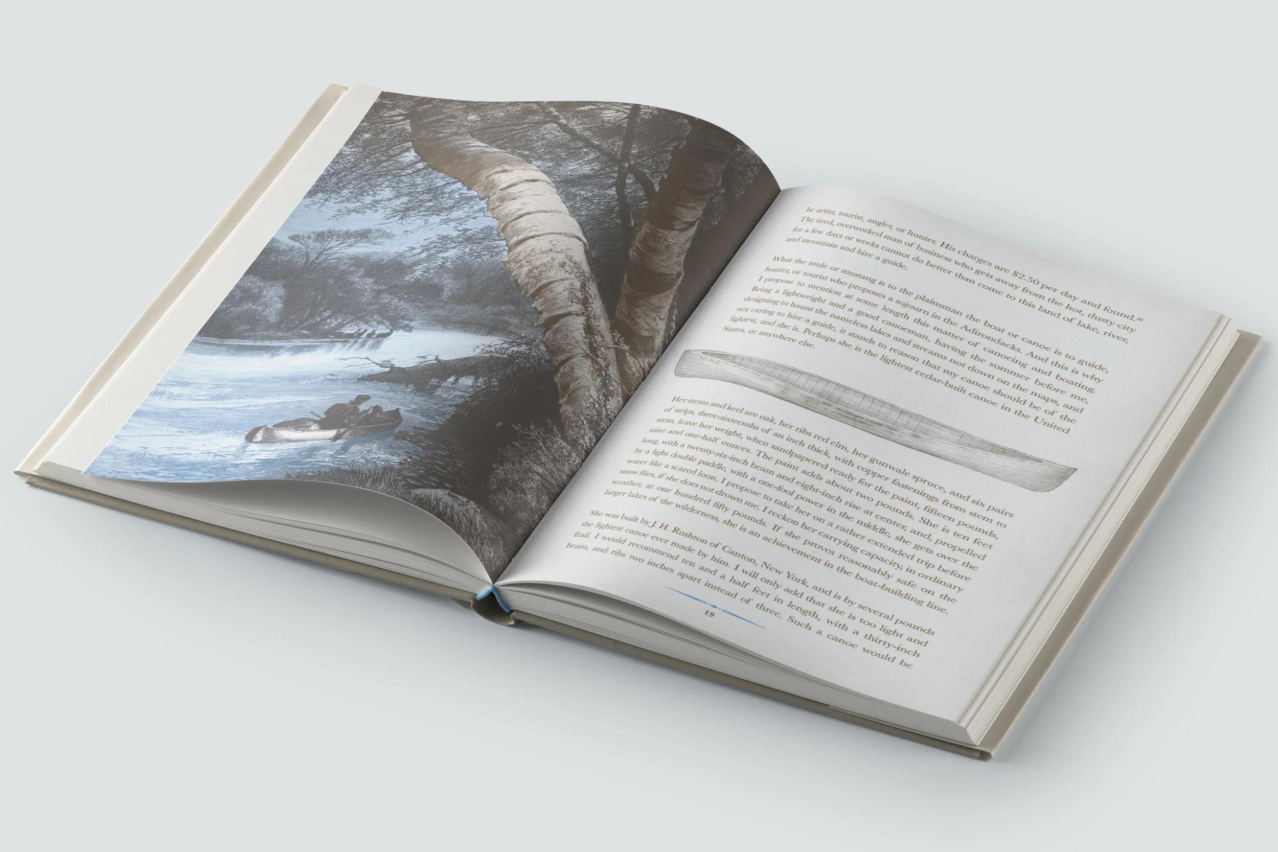 Forest Life spread 2.jpg