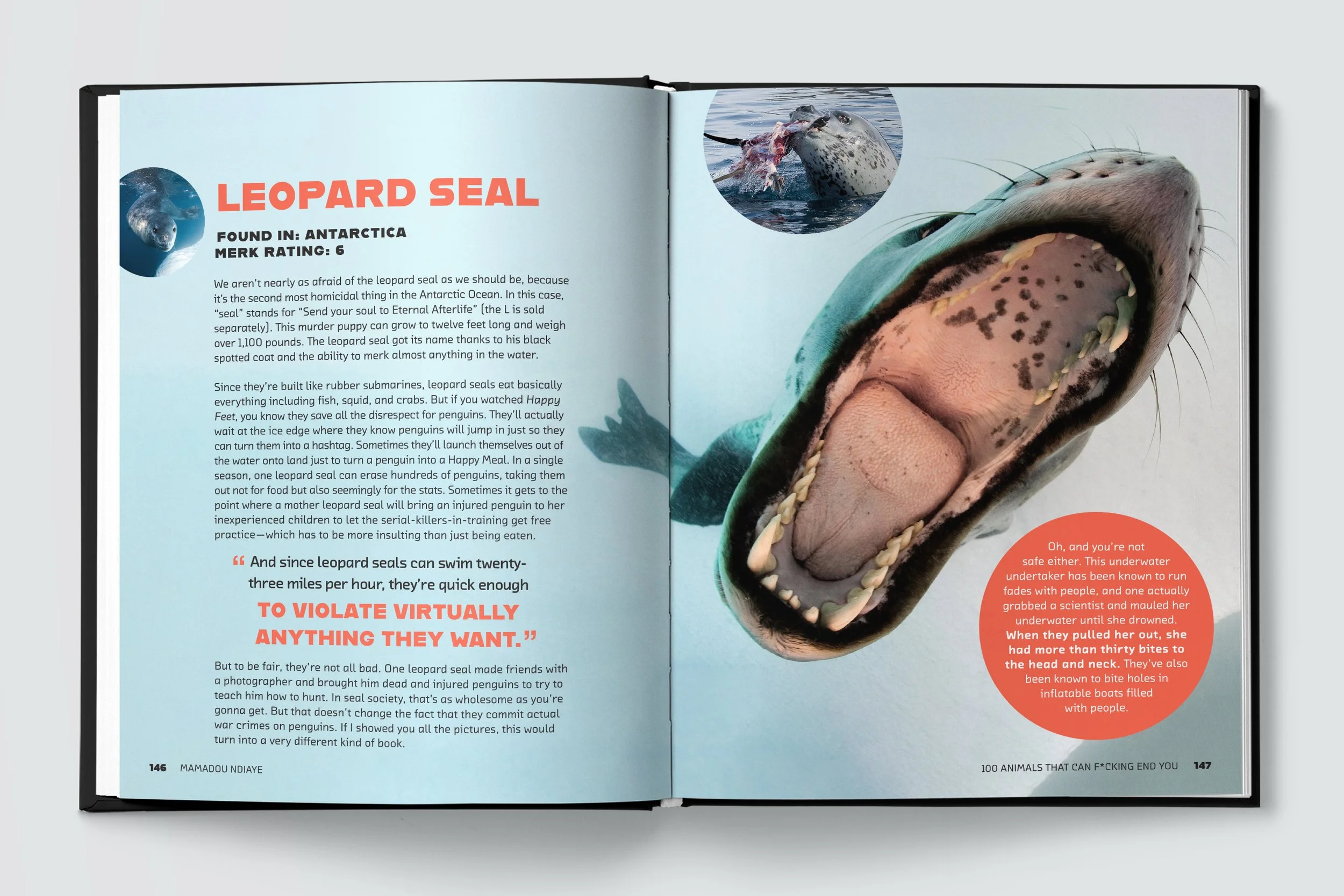 100A-Spread2.jpg