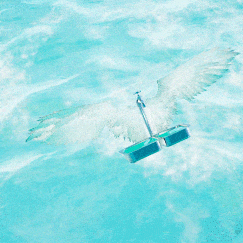 MD WINGS.gif