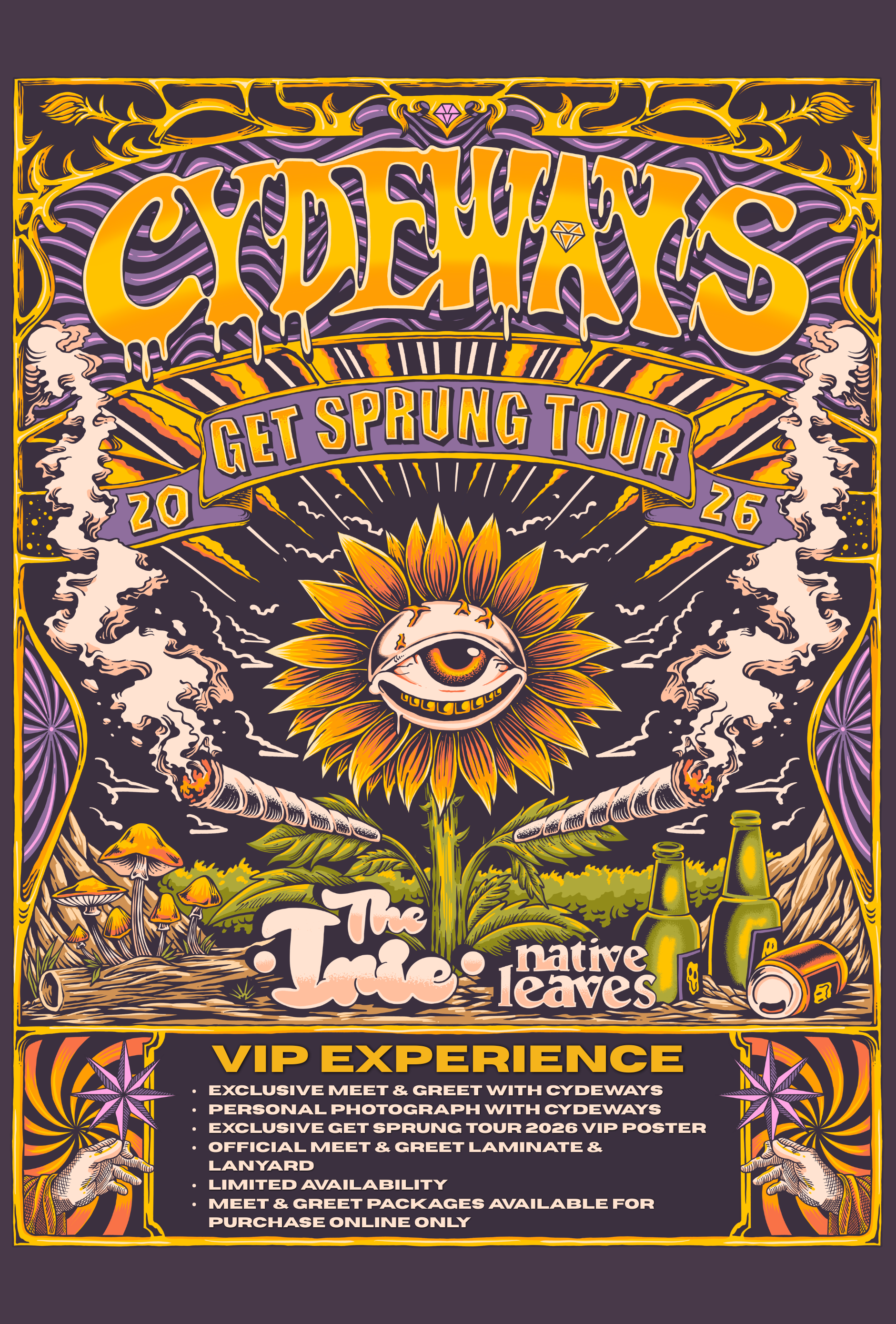 VIP Laminate - BACK.png