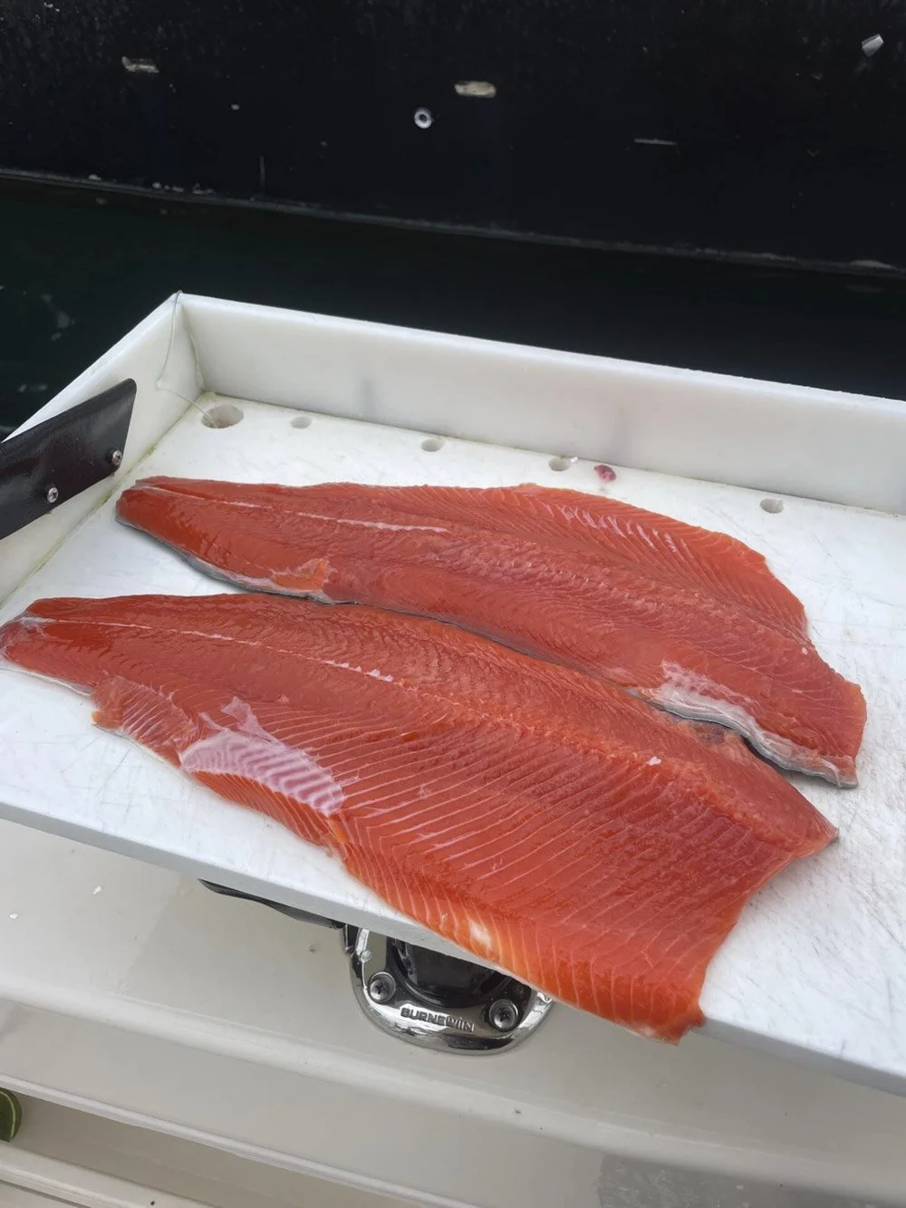 Coho Salmon freshly filleted on www.salmonseattle.com puget sound salmon charter boat