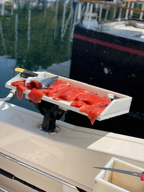 Fresh Salmon fillets on Wind Knot Guides salmon mooching charter boat at Shilshole Bay Marina.