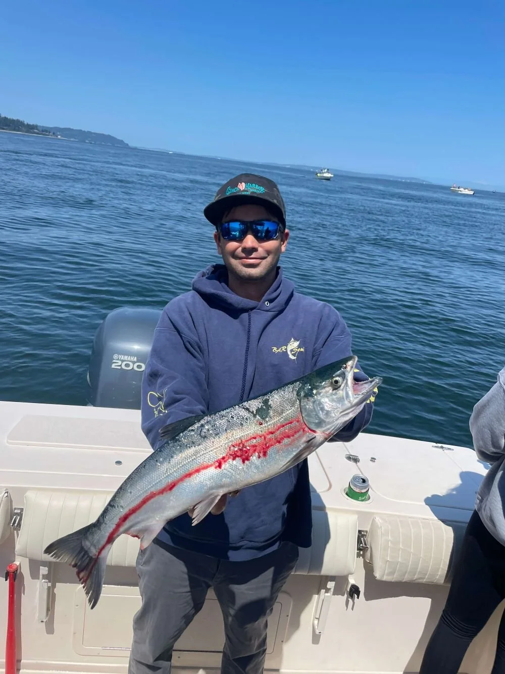 Ocean Coho salmon freshly caught on wind knot guide seattle salmon charter