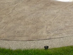 Skin w/ Exposed Aggregate Border