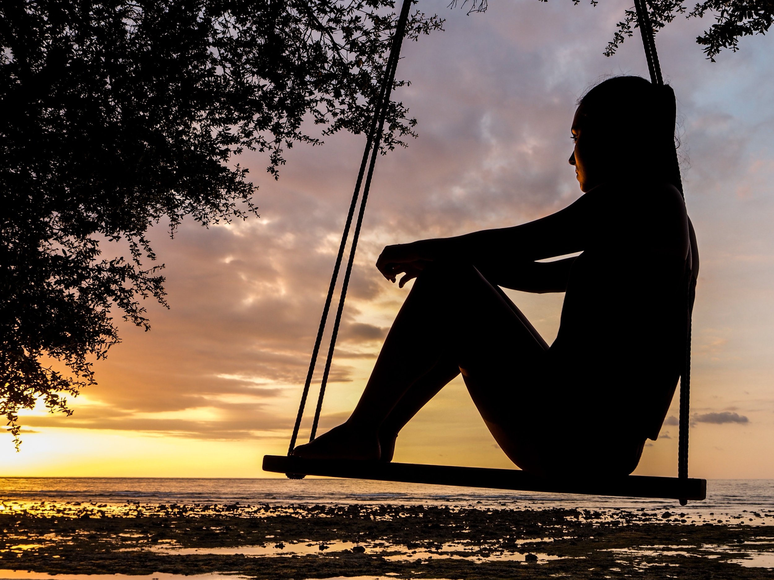 a woman sitting on a swing that is tied to a tree, overlooking a large body of water at sunset.
