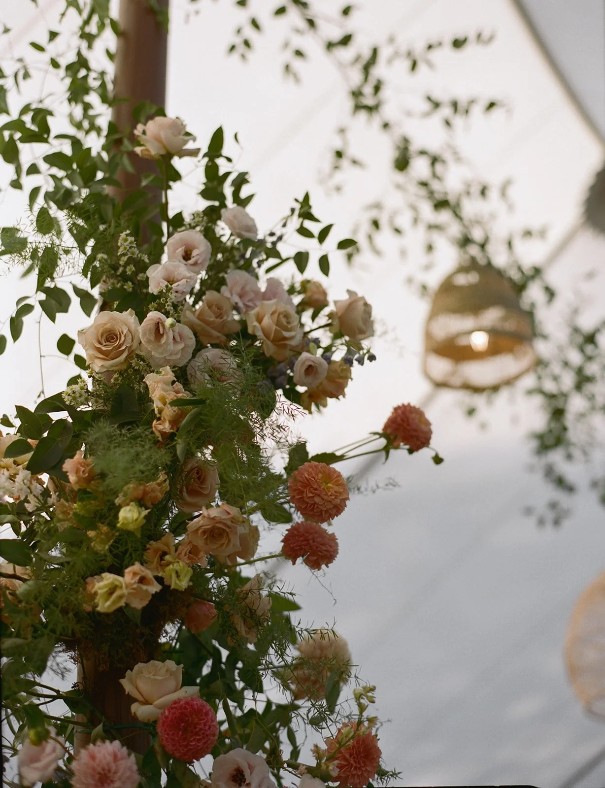 Hadley & Griffin Wedding-1421.jpg