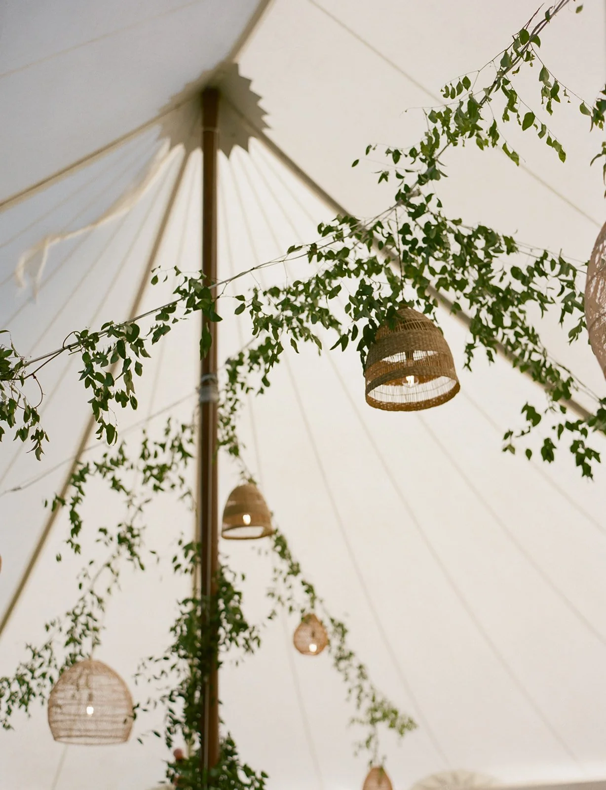 Hadley & Griffin Wedding-1488.jpg