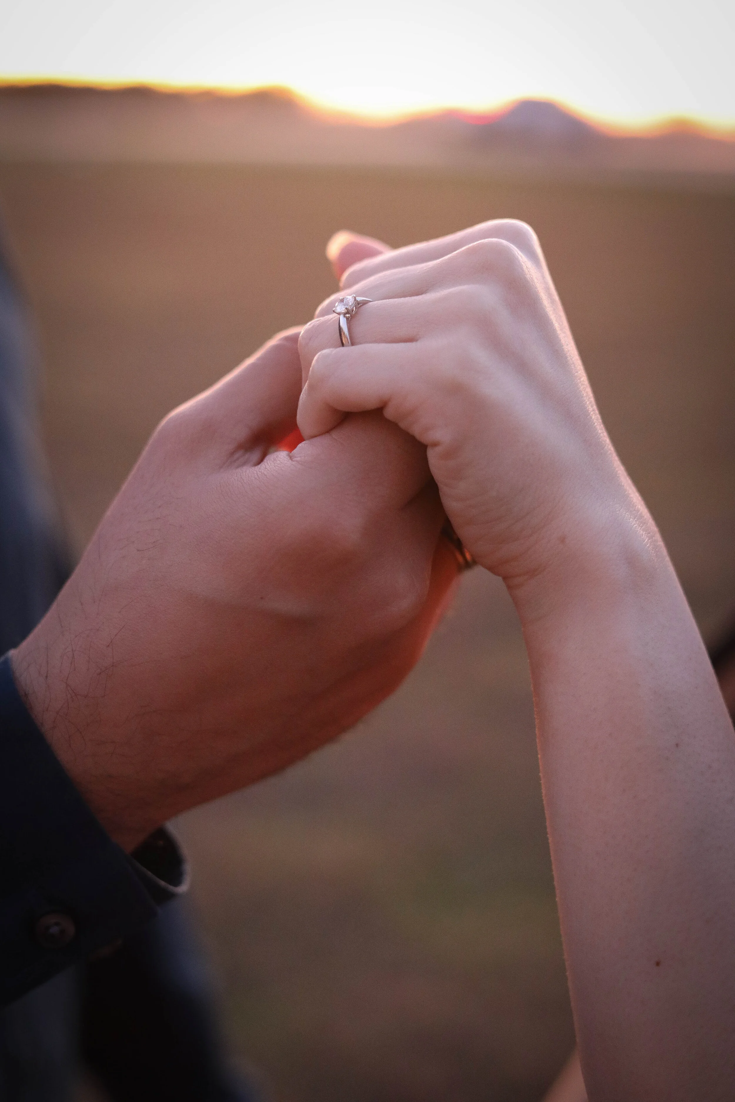 AL3A7436.jpg