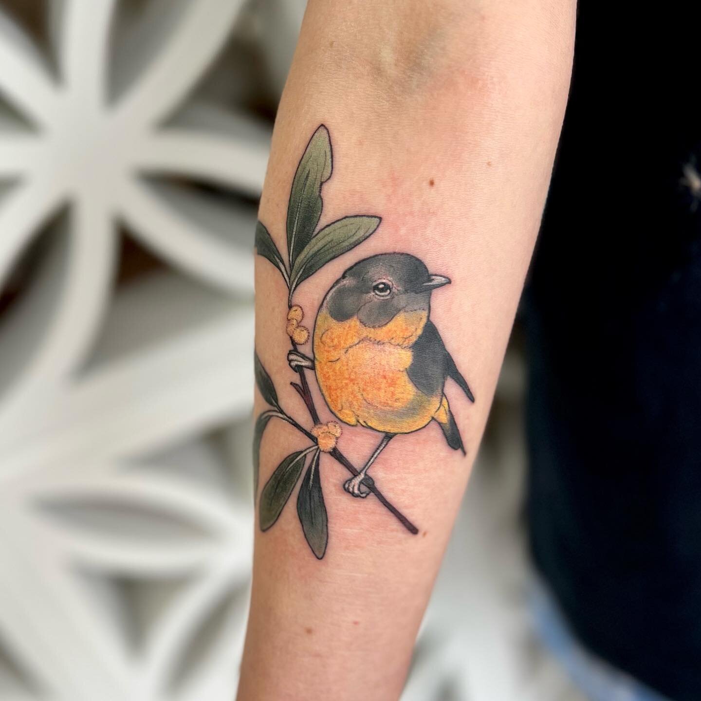 Yellow breasted Robin for Margy 💛