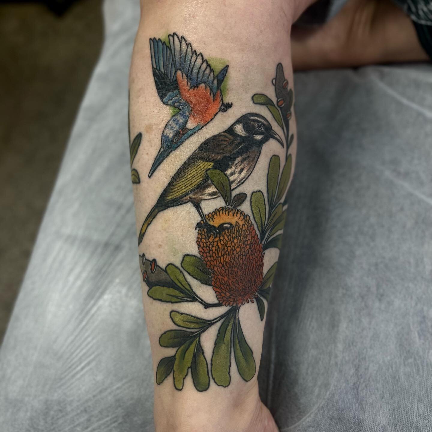 Healed Honeyeater, Pardalote and banksia for Sally ☺️ thank youuuuu 🧡