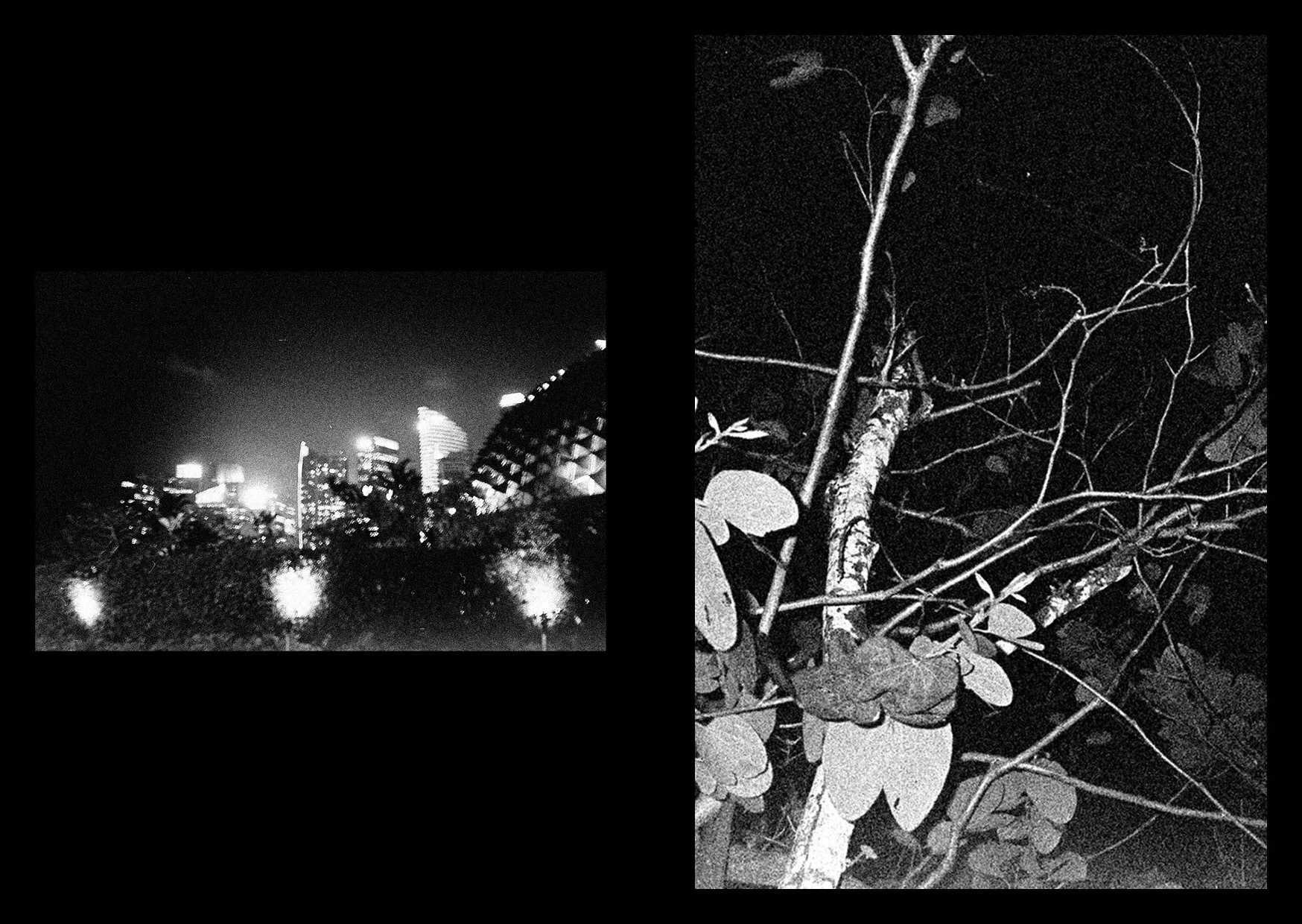 THE BOOKSHOW_BOOK COPY5.jpg