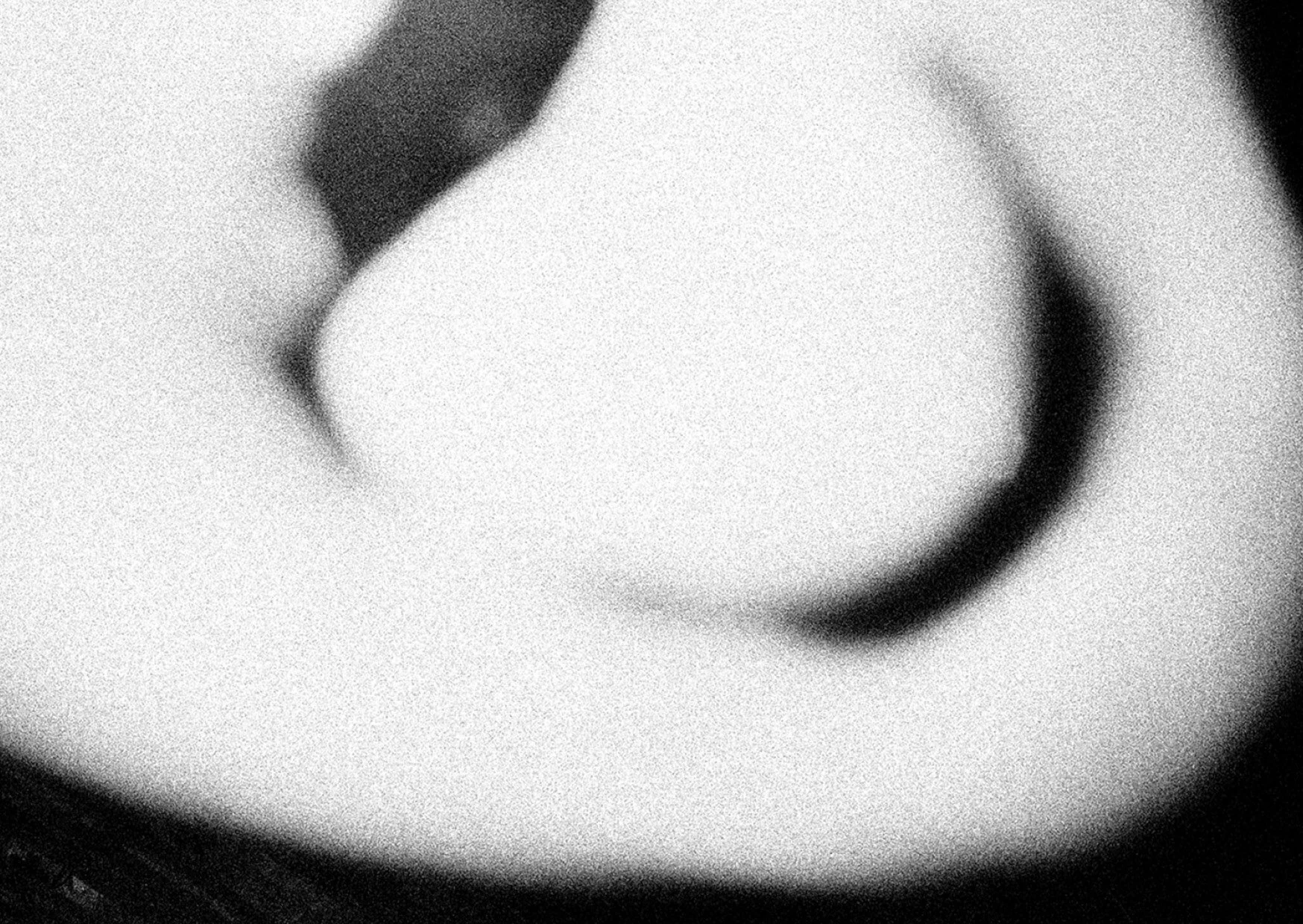 THE BOOKSHOW_BOOK COPY9.jpg