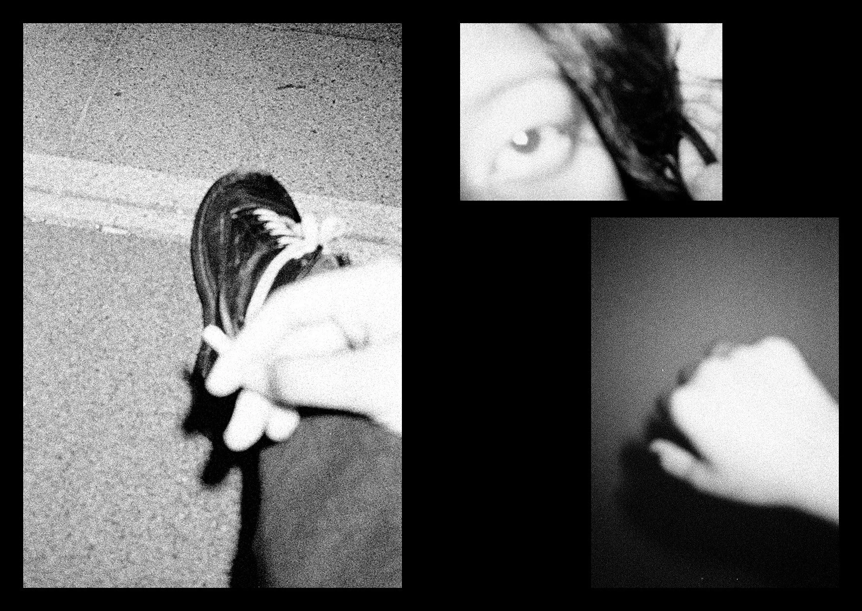 THE BOOKSHOW_BOOK COPY10.jpg