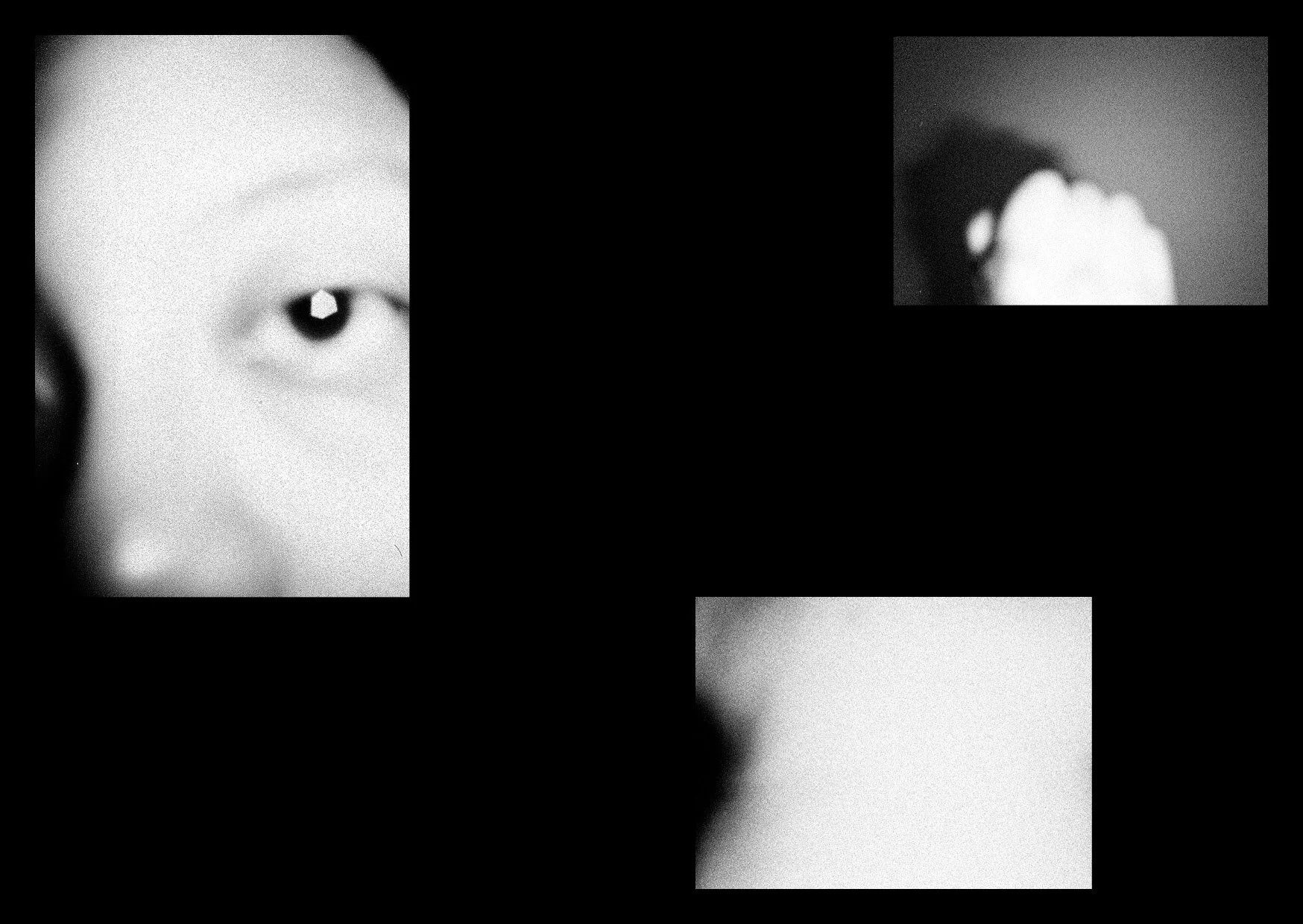 THE BOOKSHOW_BOOK COPY12.jpg