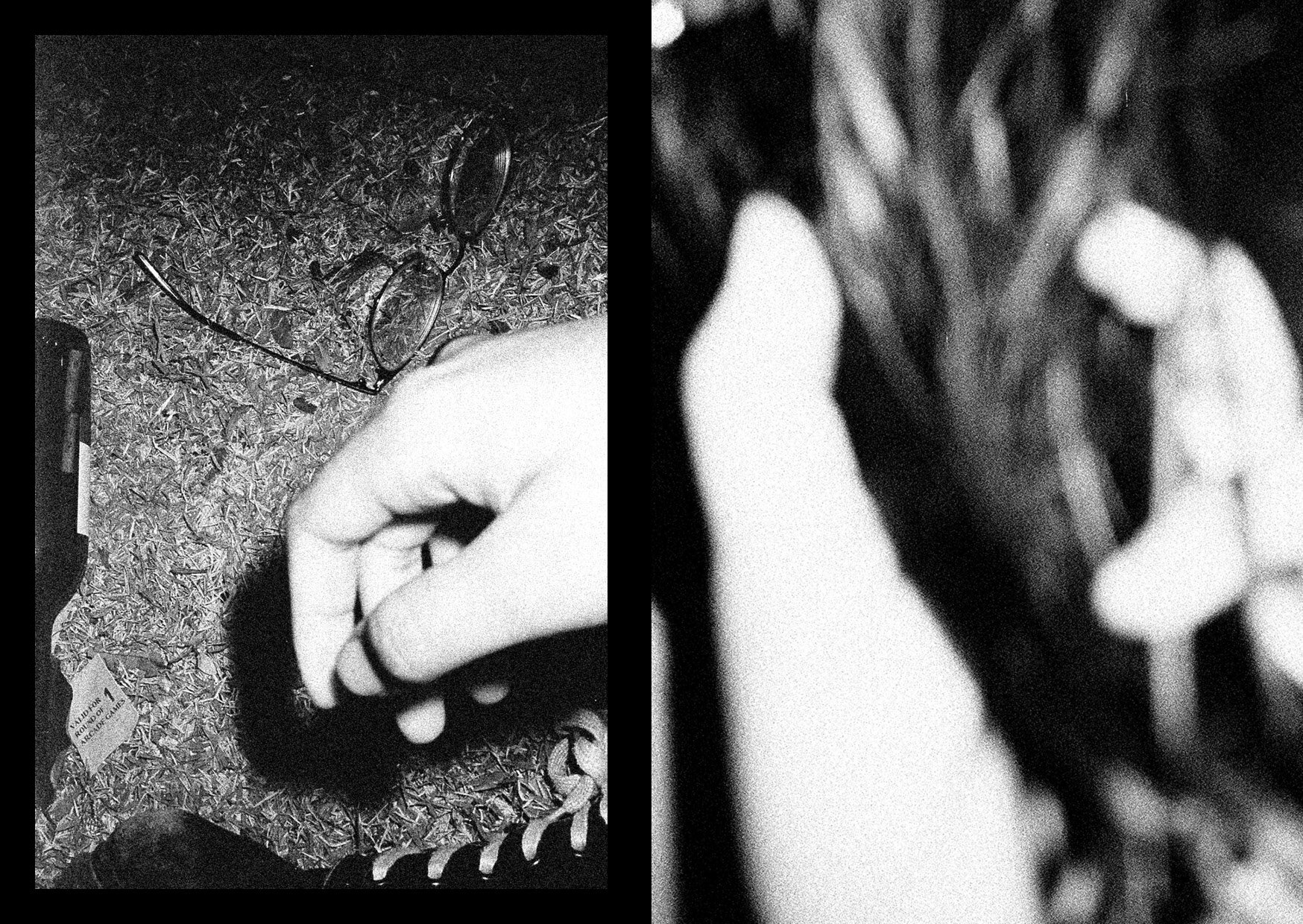 THE BOOKSHOW_BOOK COPY16.jpg