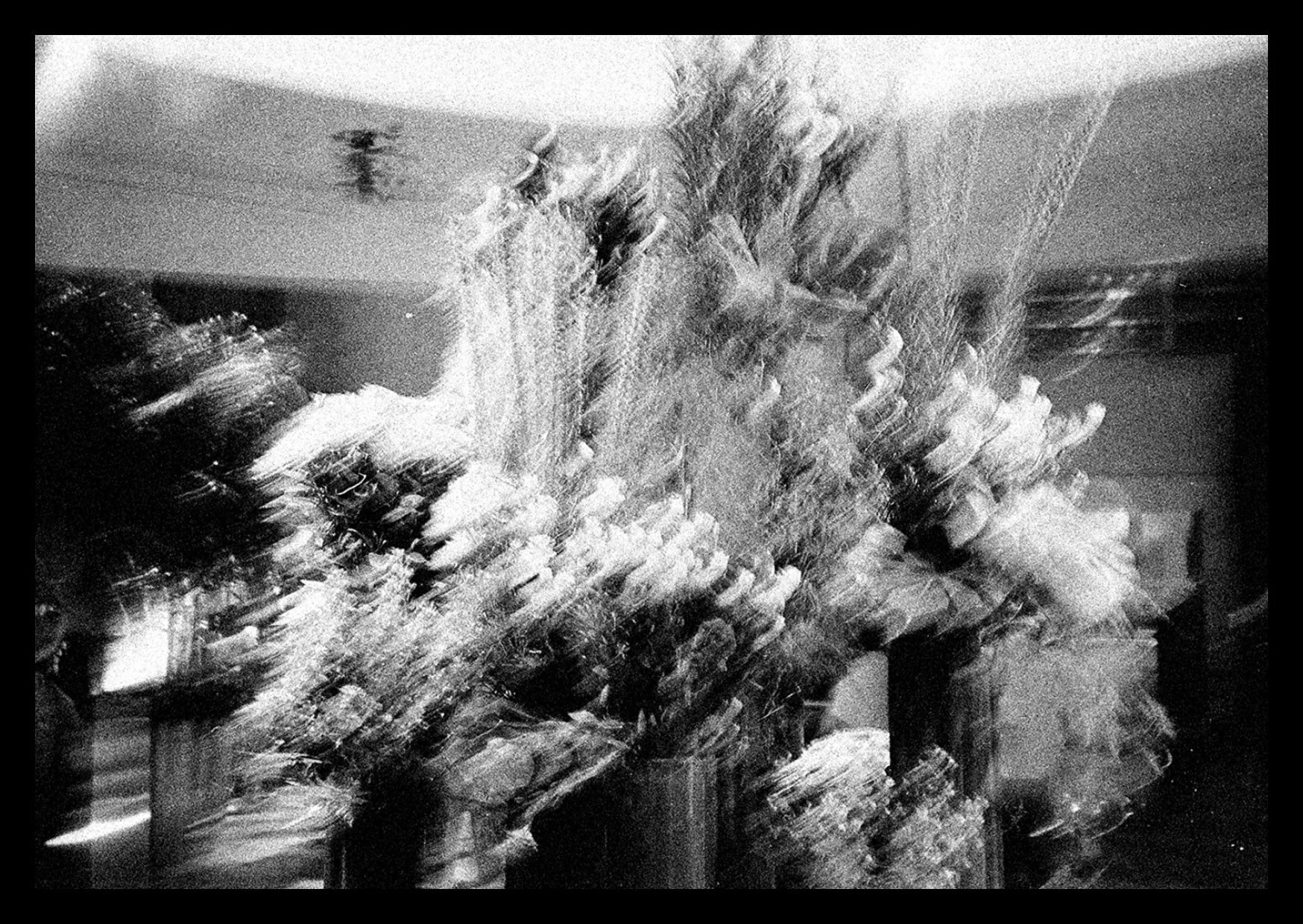 THE BOOKSHOW_BOOK COPY18.jpg