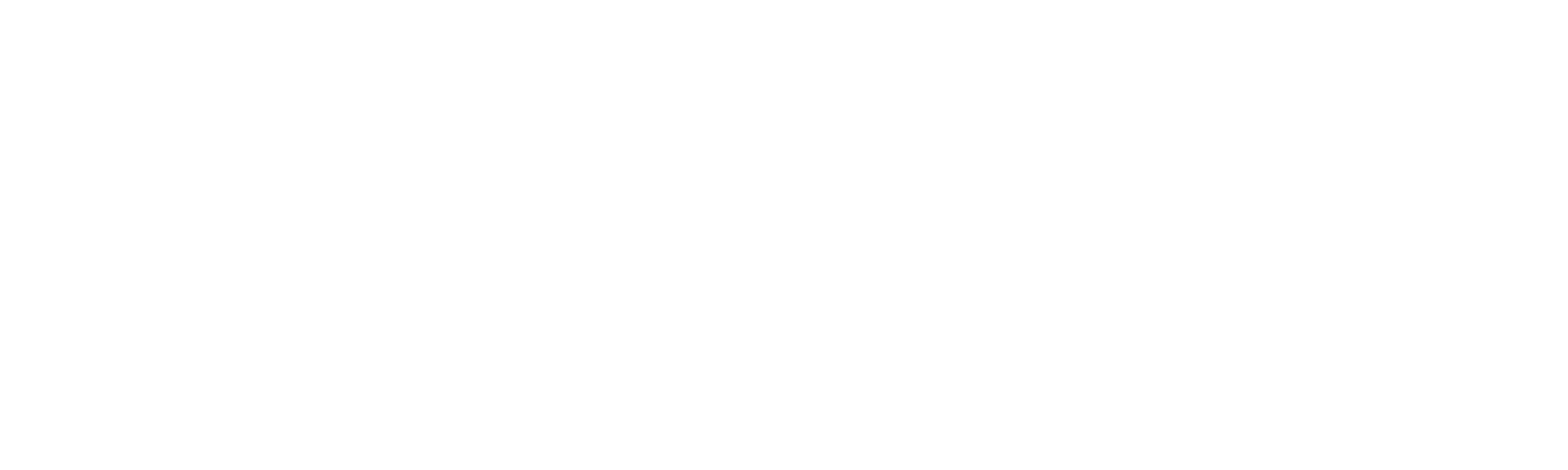 Fast Horse Photography - St. Augustine, Florida