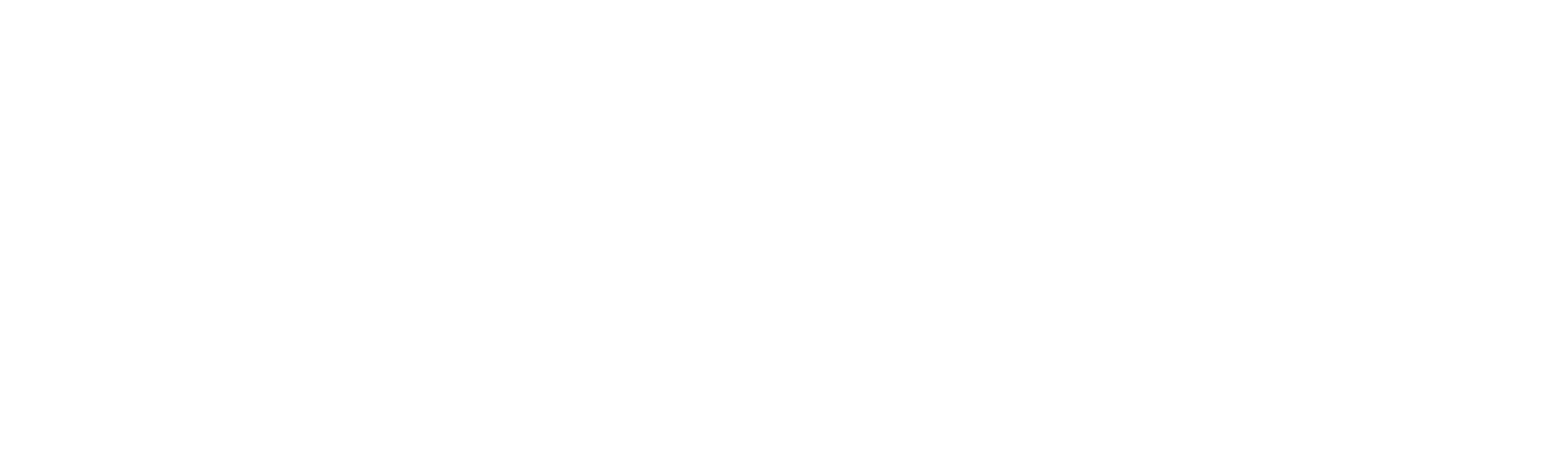 Fast Horse Photography - St. Augustine, Florida