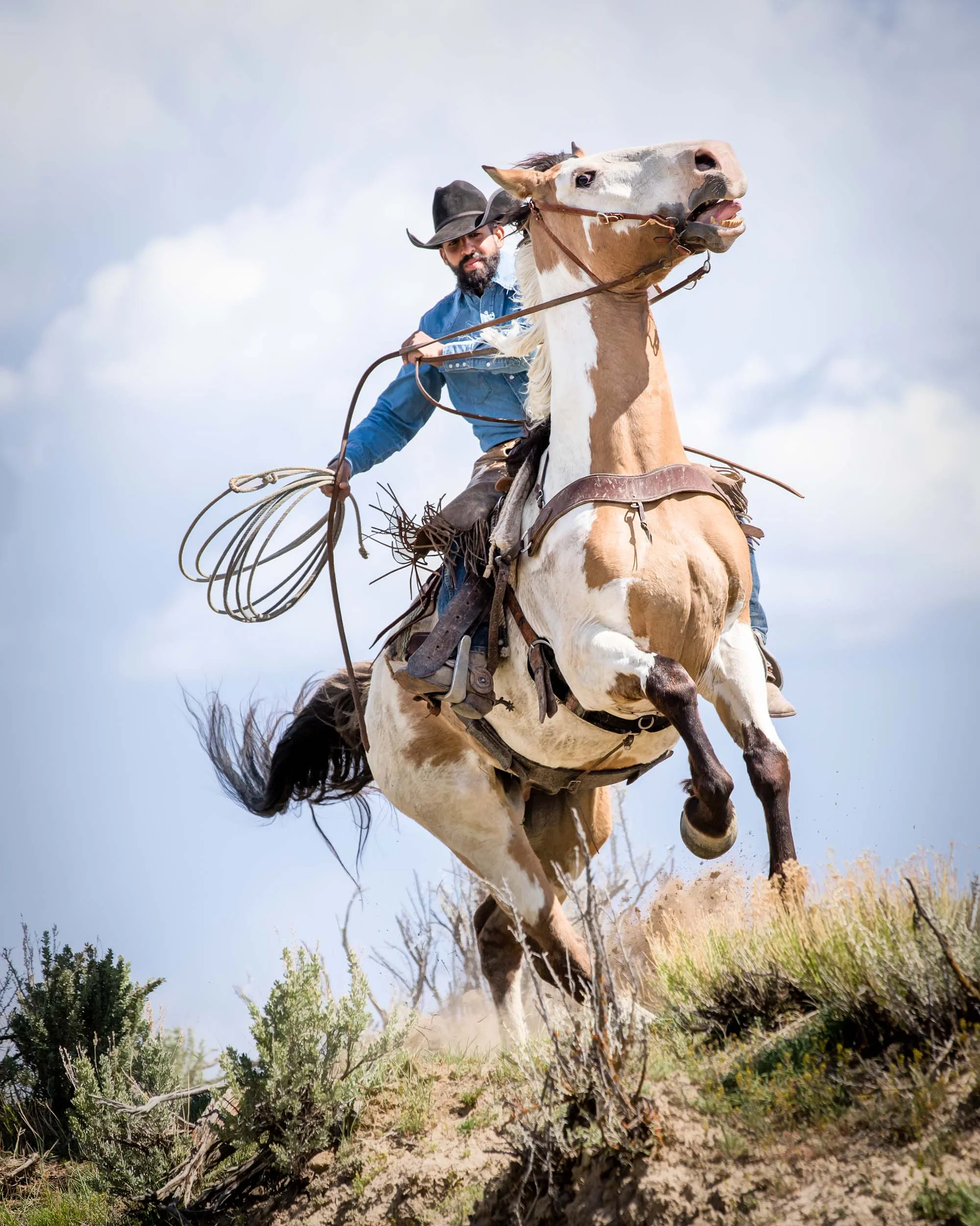 Herding_Horses-1-4.jpg