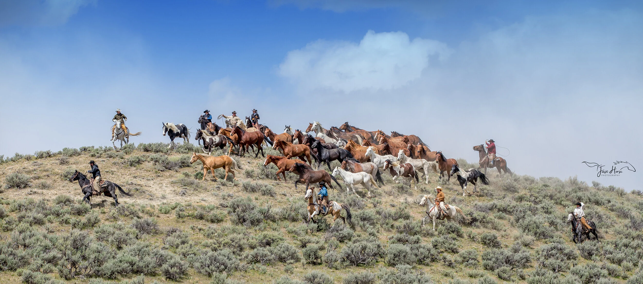 11th Annual International Color Awards Honors Photographer Cara Taylor Swift From the United States