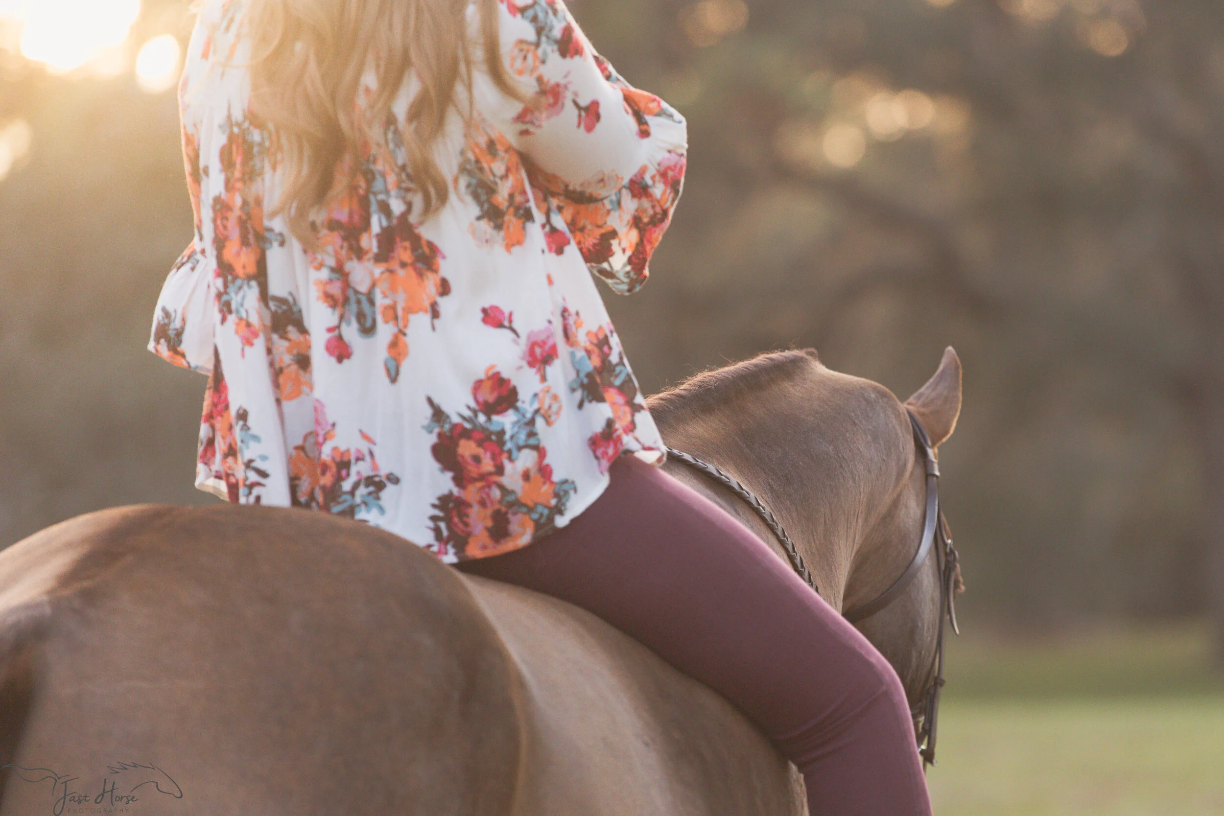 commercial equine photographer-1.jpg