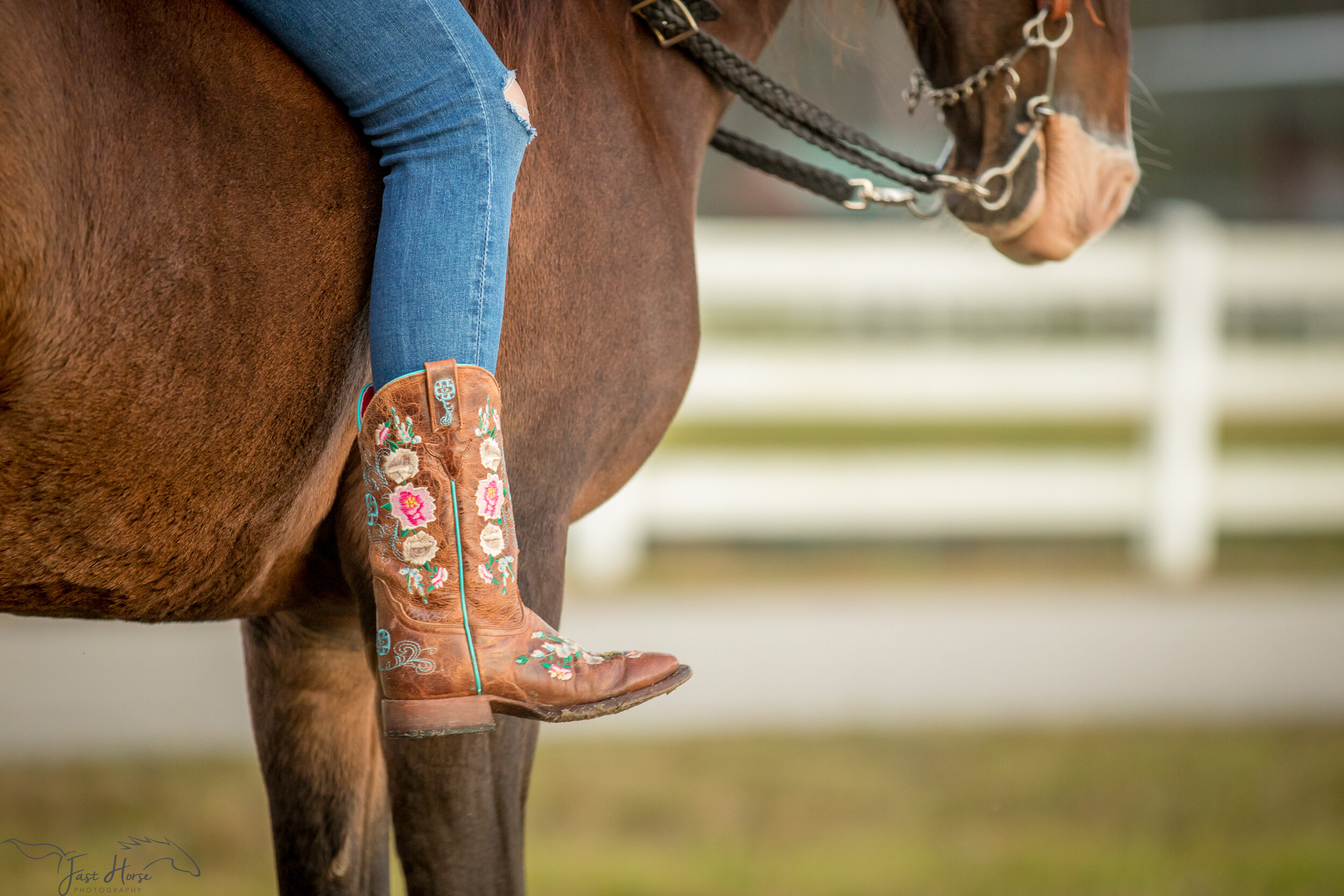 commercial equine photographer-4.jpg