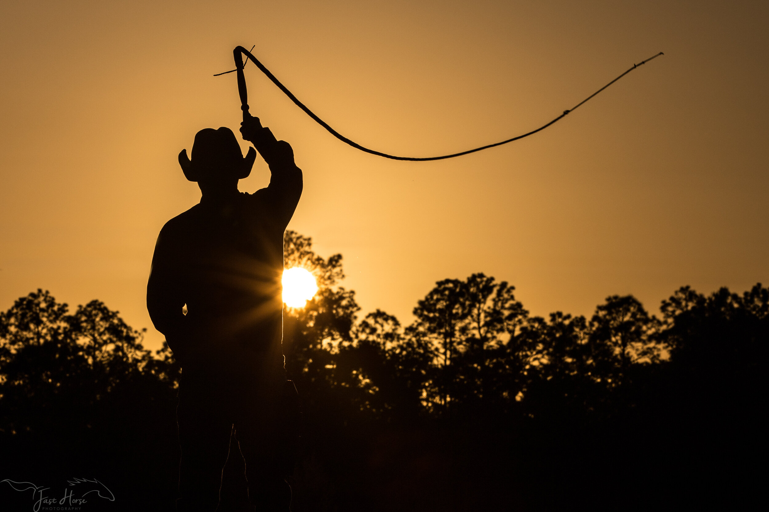 commercial equine photographer-6.jpg