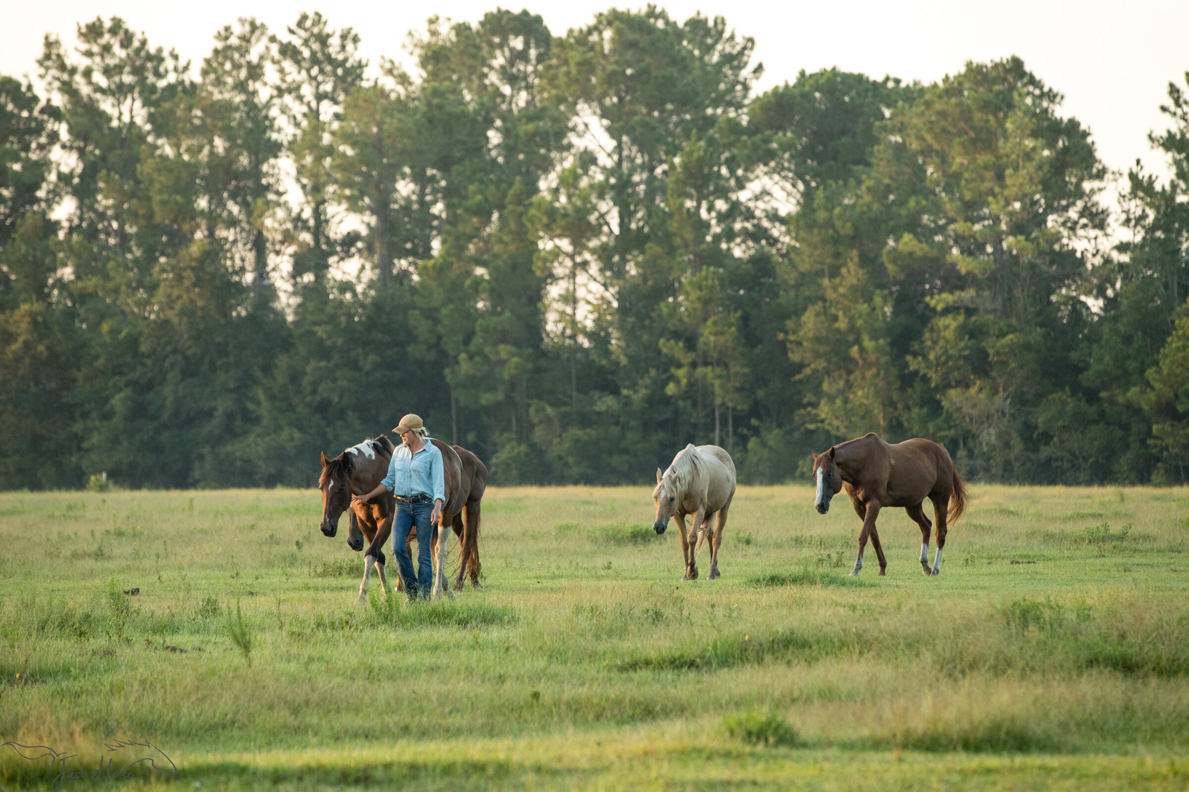 Equestrian Branding Photography_Florida_Fast Horse Photography-1.jpg