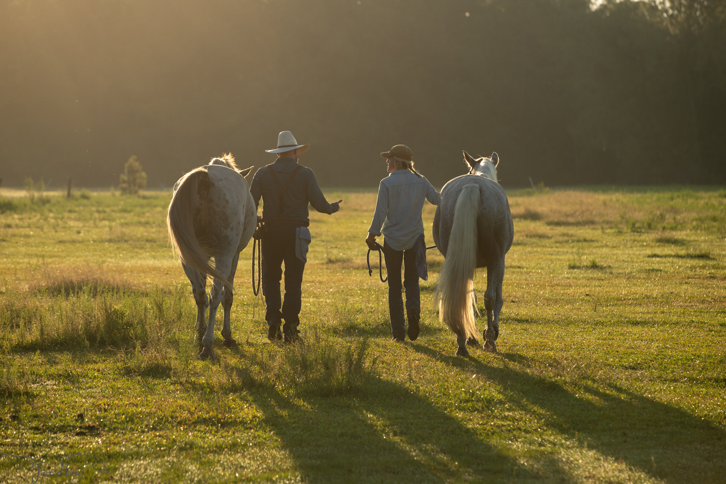 Equestrian Branding Photography_Florida_Fast Horse Photography-2.jpg