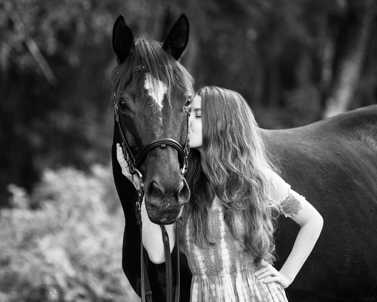 Horse and Human Photography-1.jpg