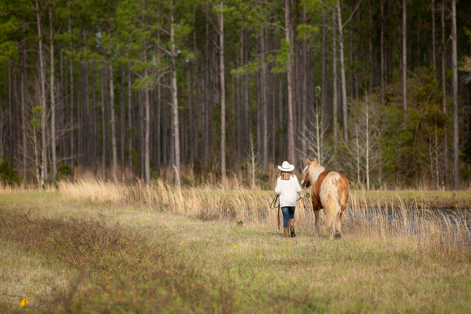 St Augustine_Florida_Equestrian_kids_photographer-7.jpg