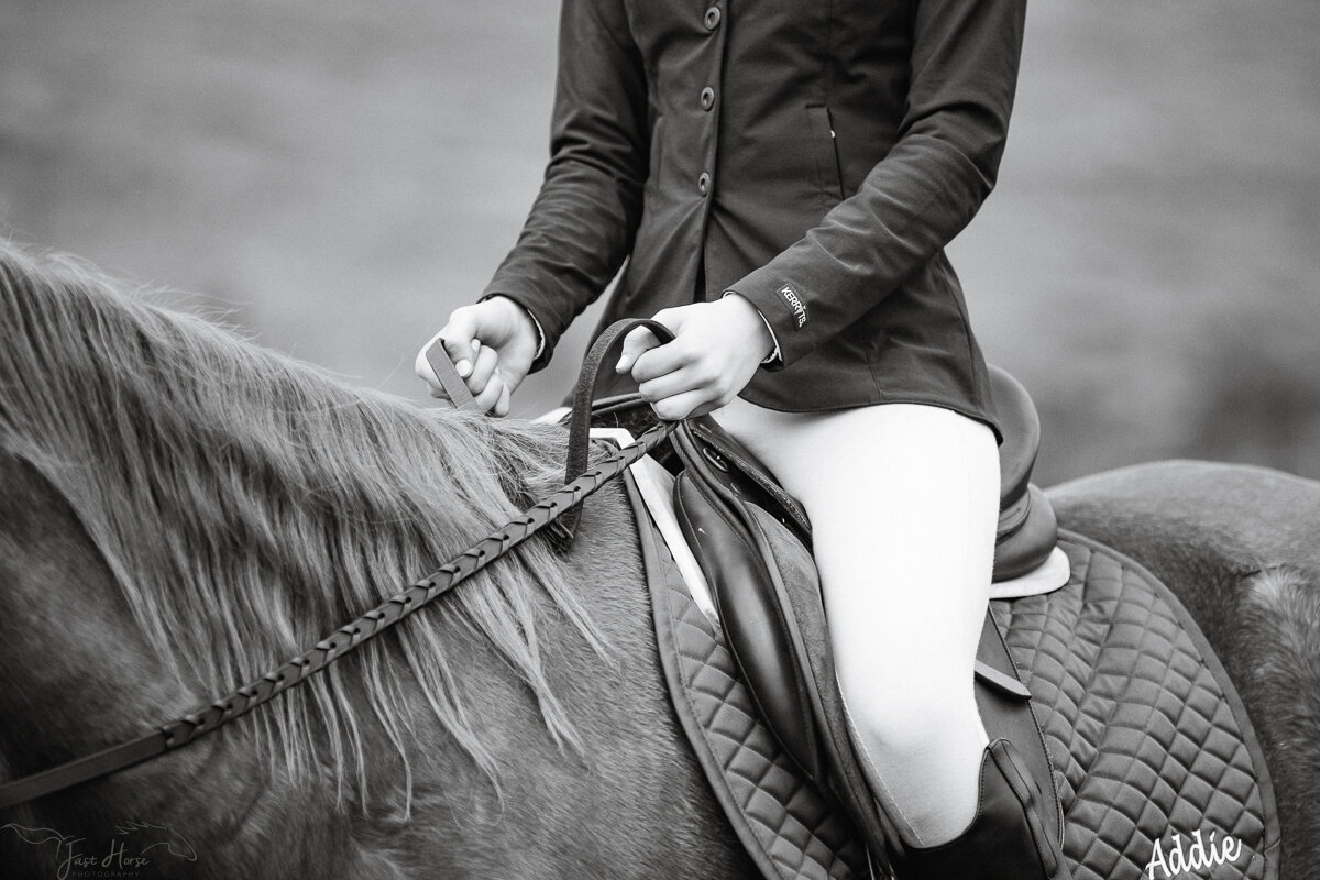 Equestrian_Portraits_Florida_Fast Horse Photography-16.jpg
