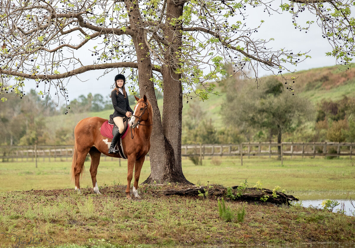 Equestrian_Portraits_Florida_Fast Horse Photography-15.jpg