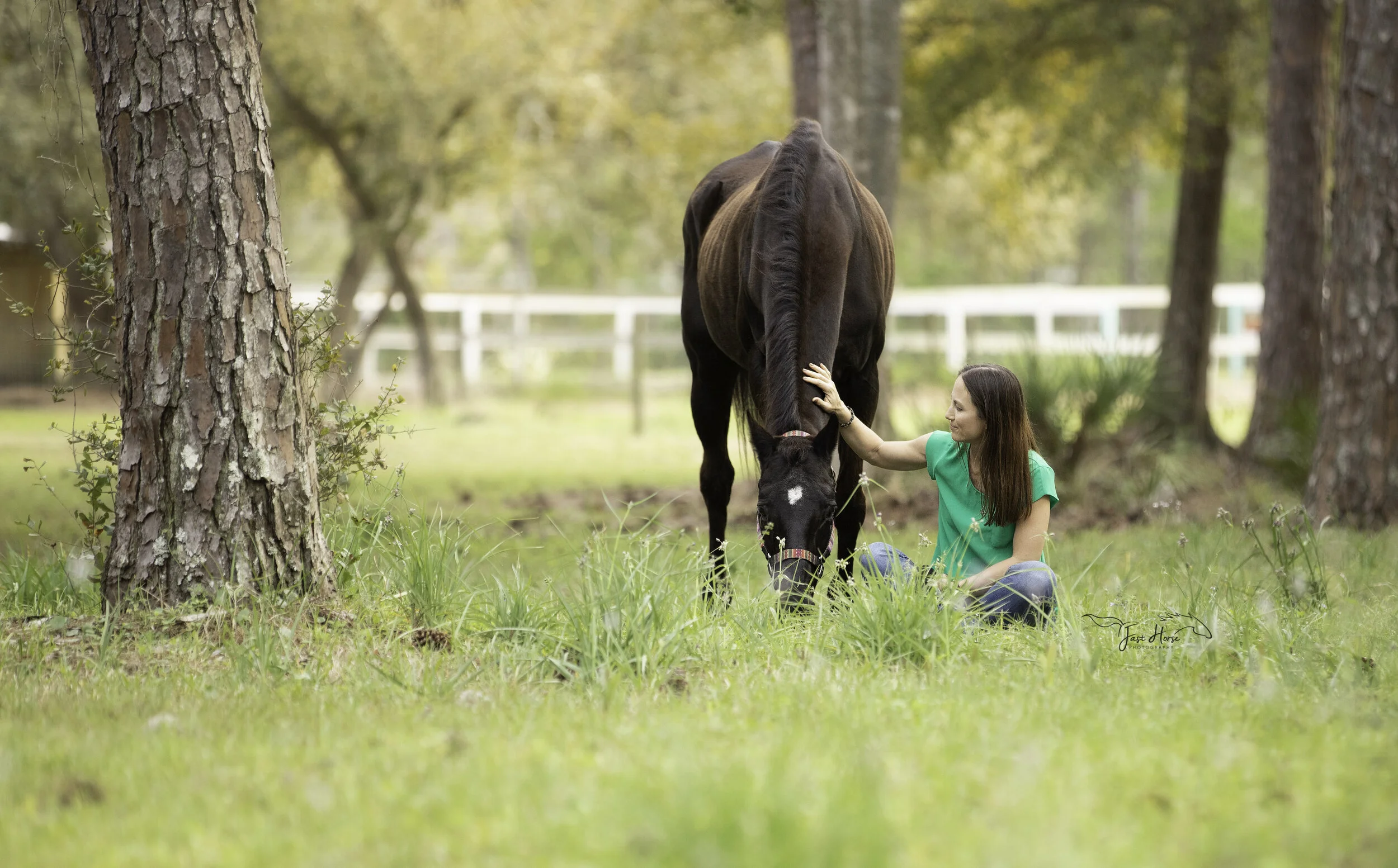 An Equine Remember Me Photo Session