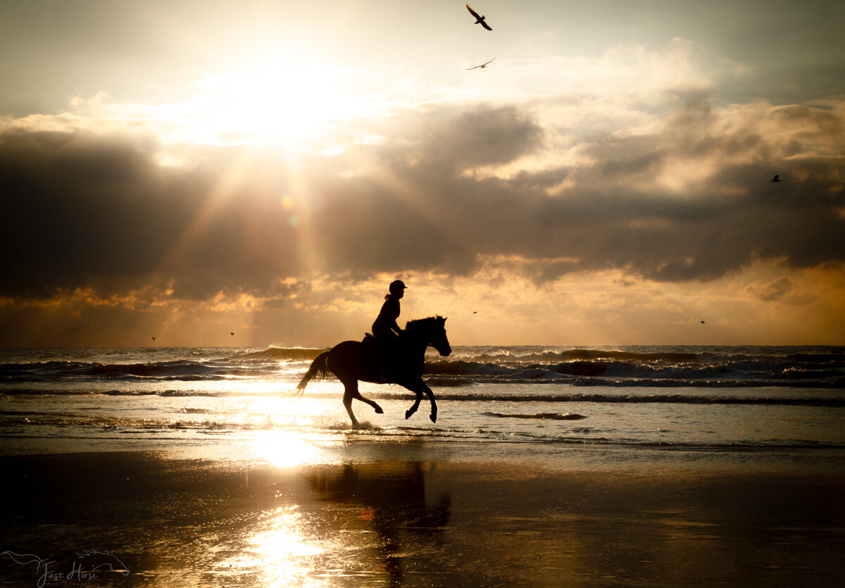 Galloping on Sunset Beach