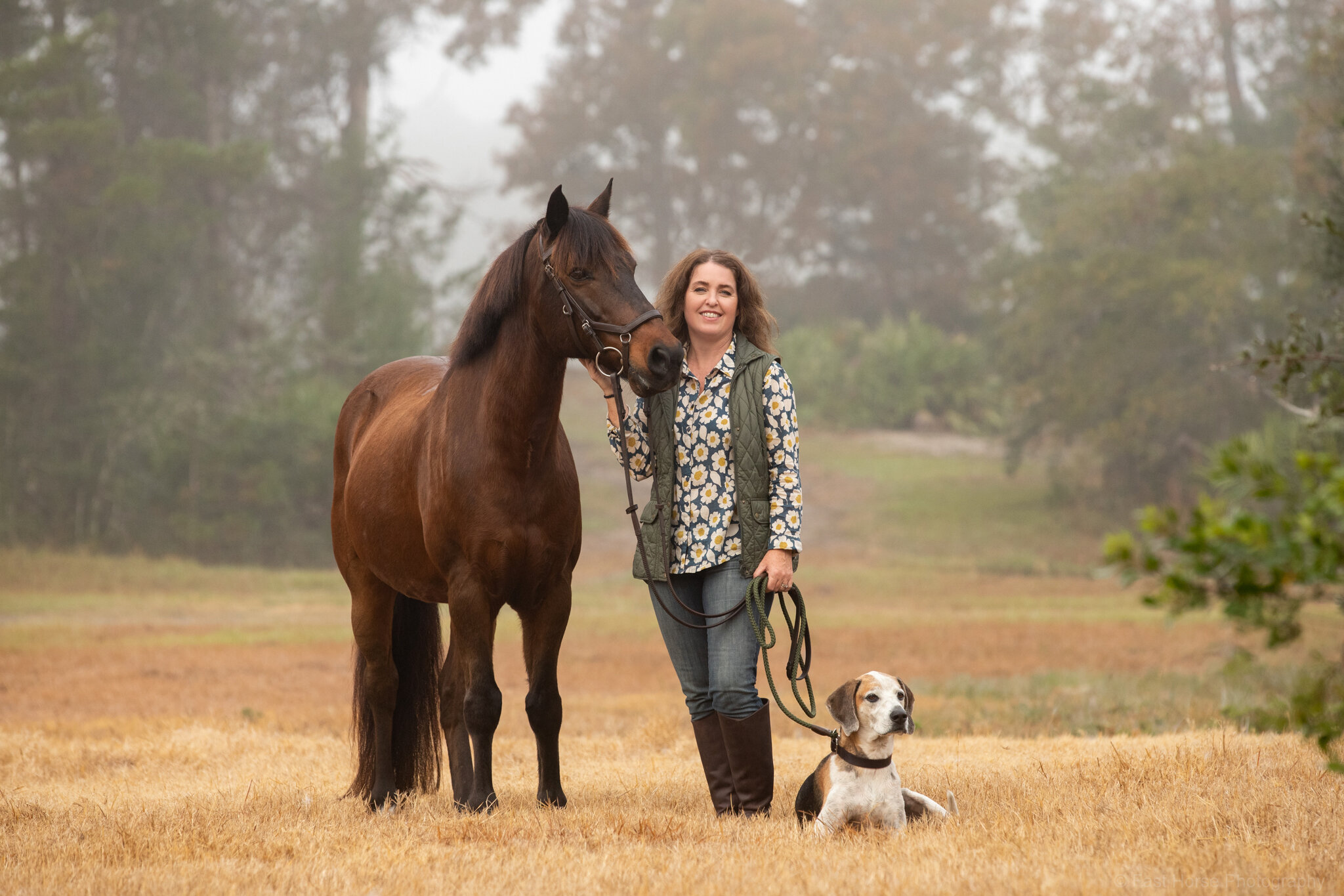 Fast Horse Photography_Horses and Fog-18.jpg