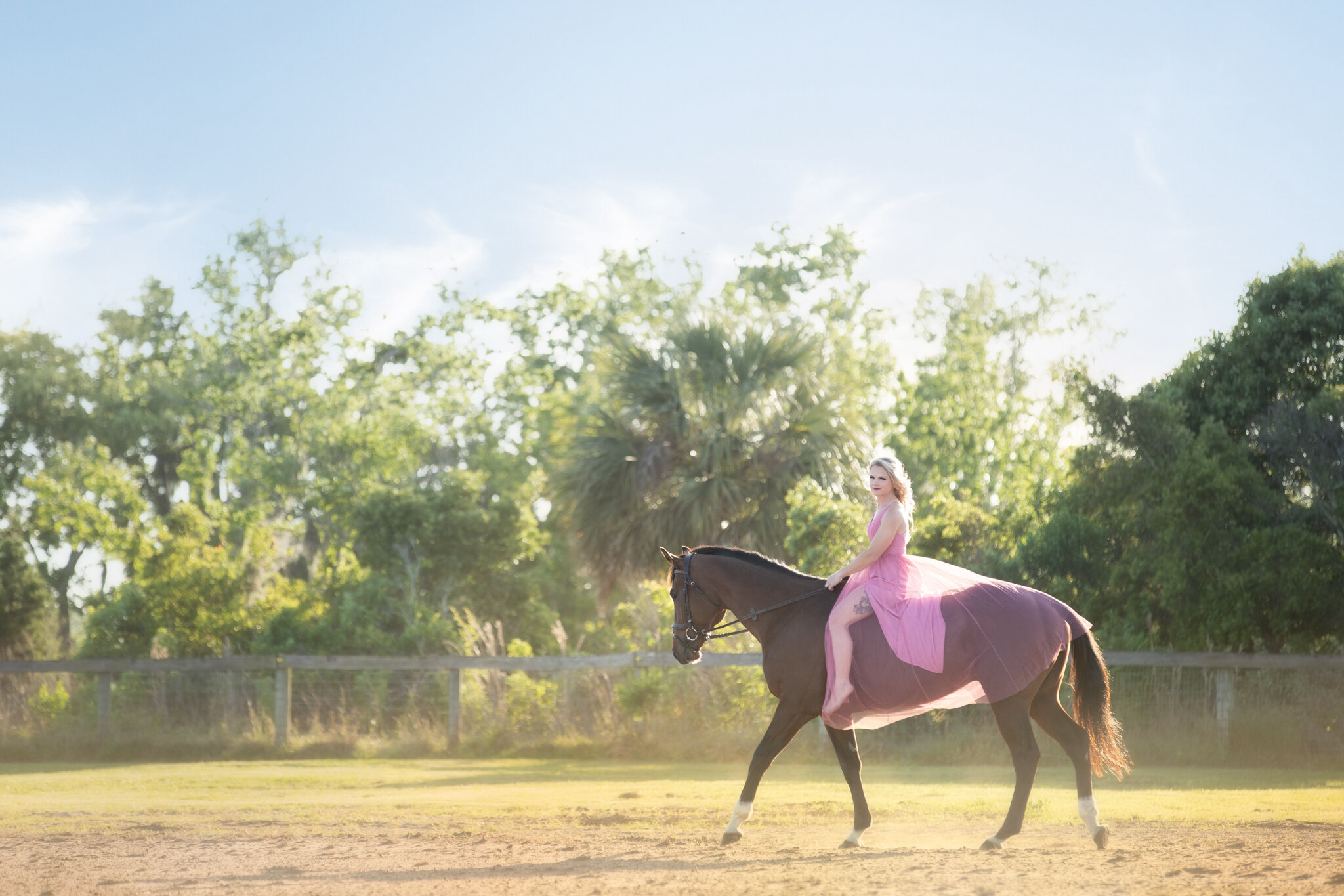Fast Horse Photography_Stephanie Watko-8.jpg