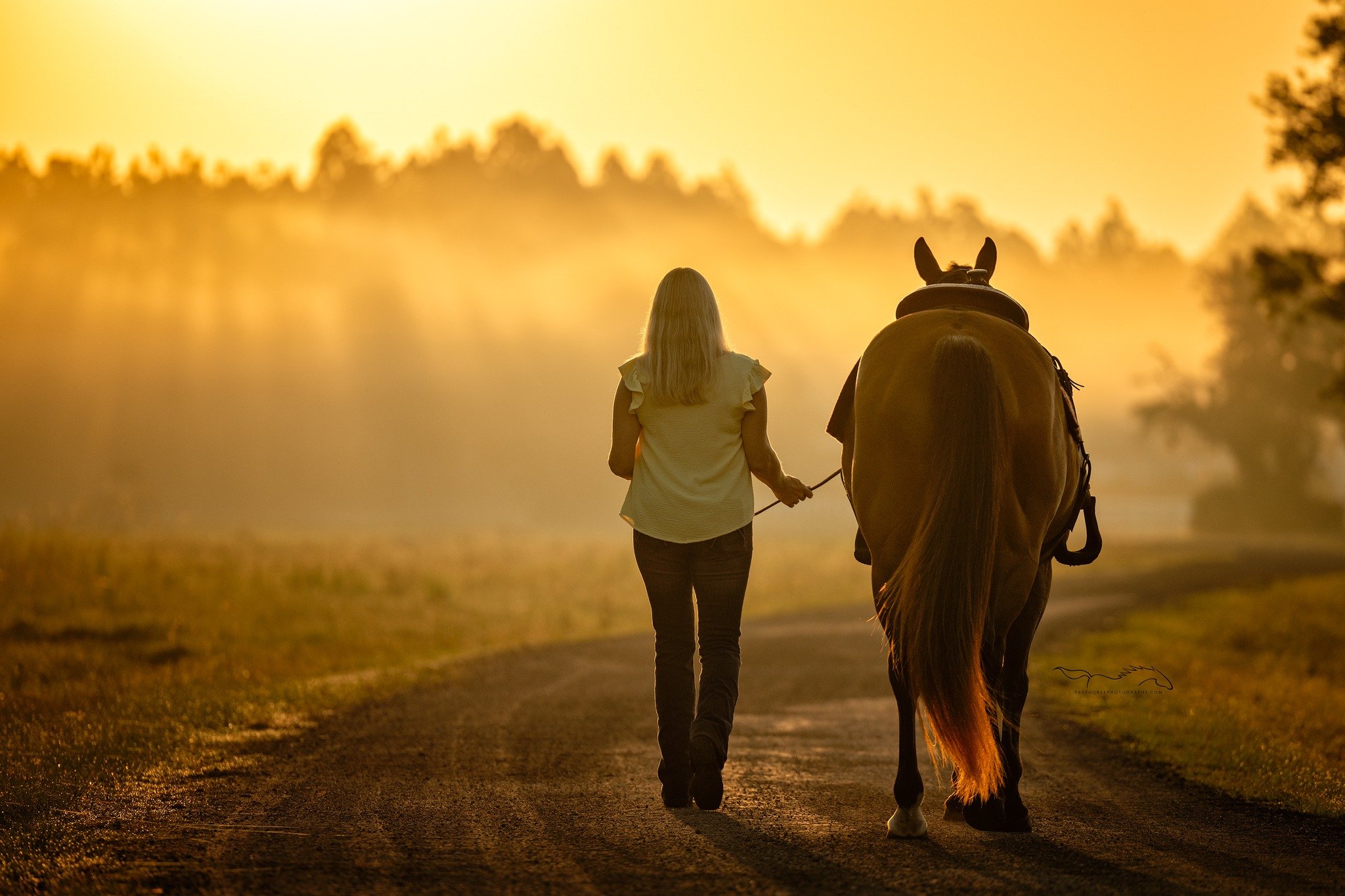 A beautiful way to start the day! 

Star 4 Equestrian has some of the prettiest morning light you could ask for and we got to enjoy a little of it yesterday morning during our Equine Photography Essentials Workshop! I feel so privileged to get the op