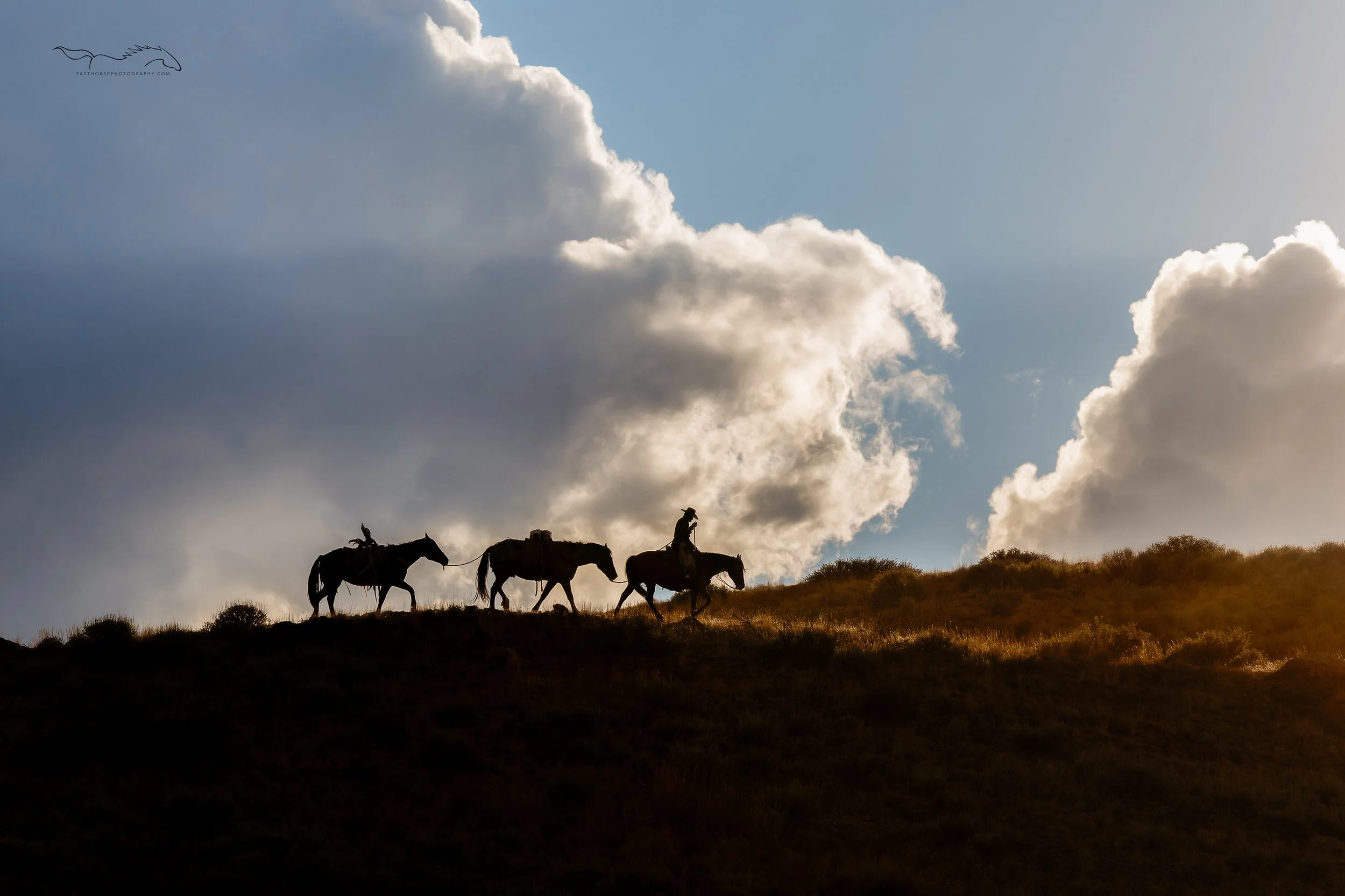 Dust, Light, and Learning at Cottonwood Ranch in Nevada with Cowgirls with Cameras