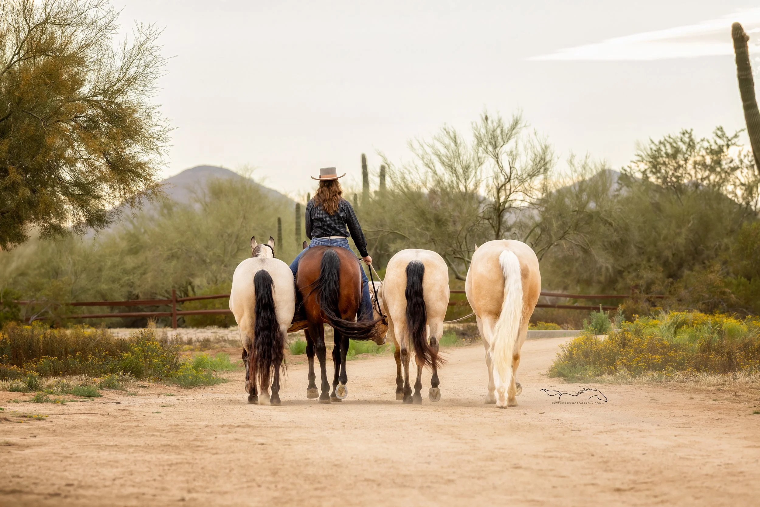 Equine Photography and Videography for Diamond TK Ranch