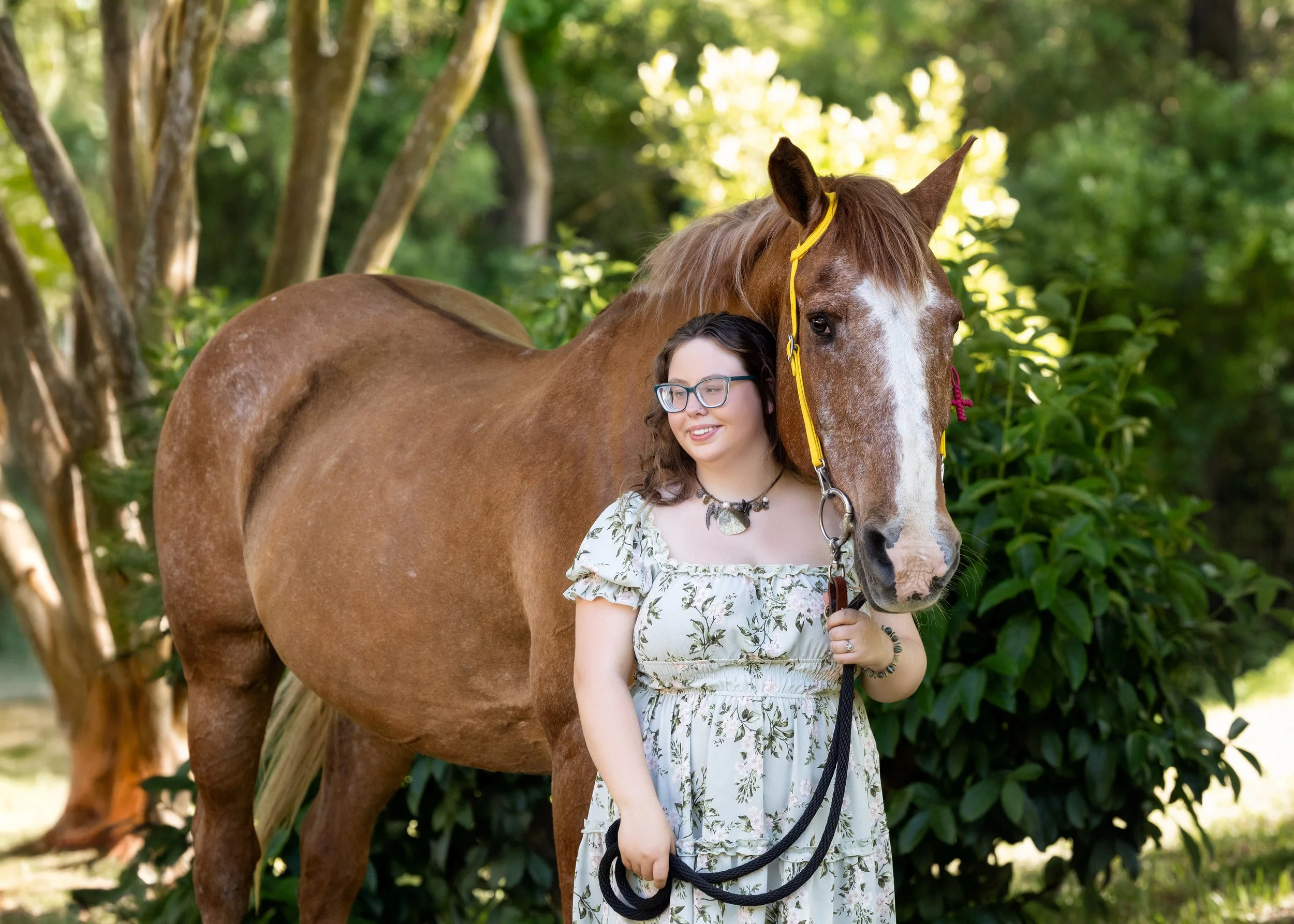 Kendall’s Equestrian Senior Portrait Session with Sol at Allys Acres