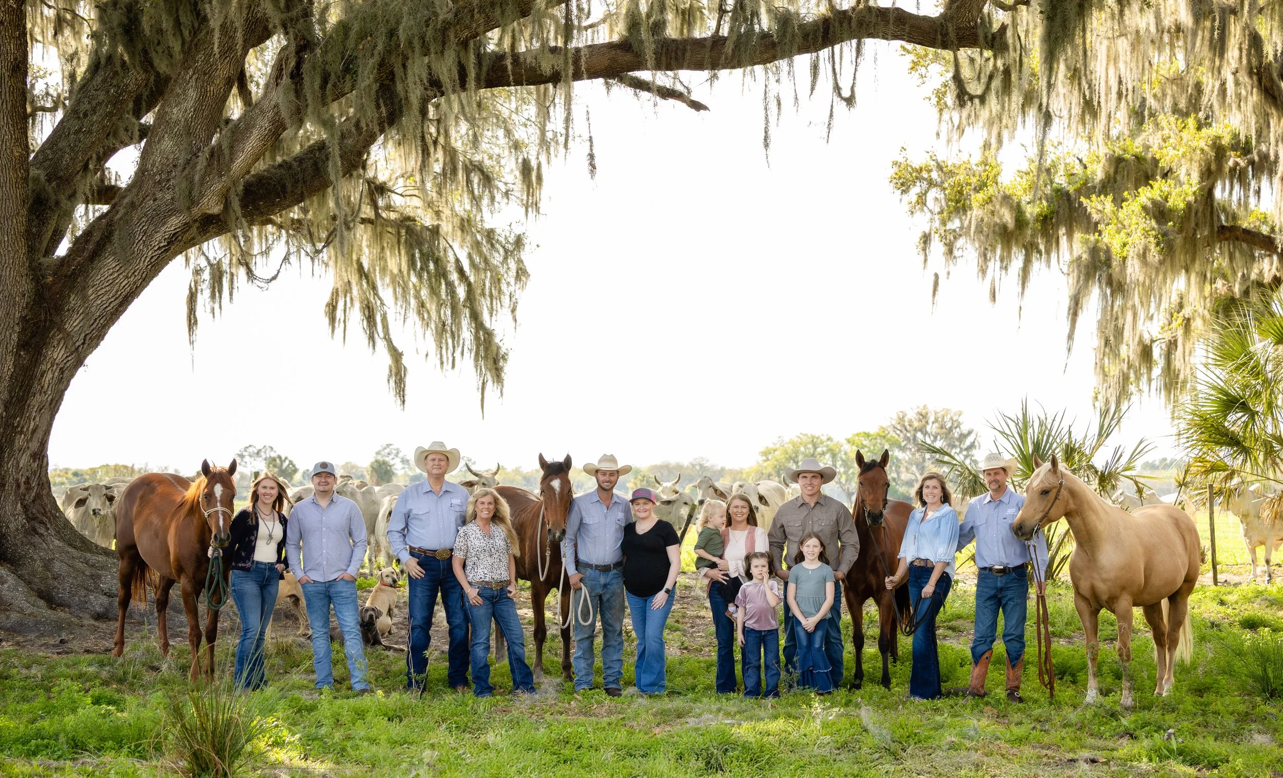 Creating the Full Family Portrait with Horses, Donkeys, Dogs, and All the Critters You Love