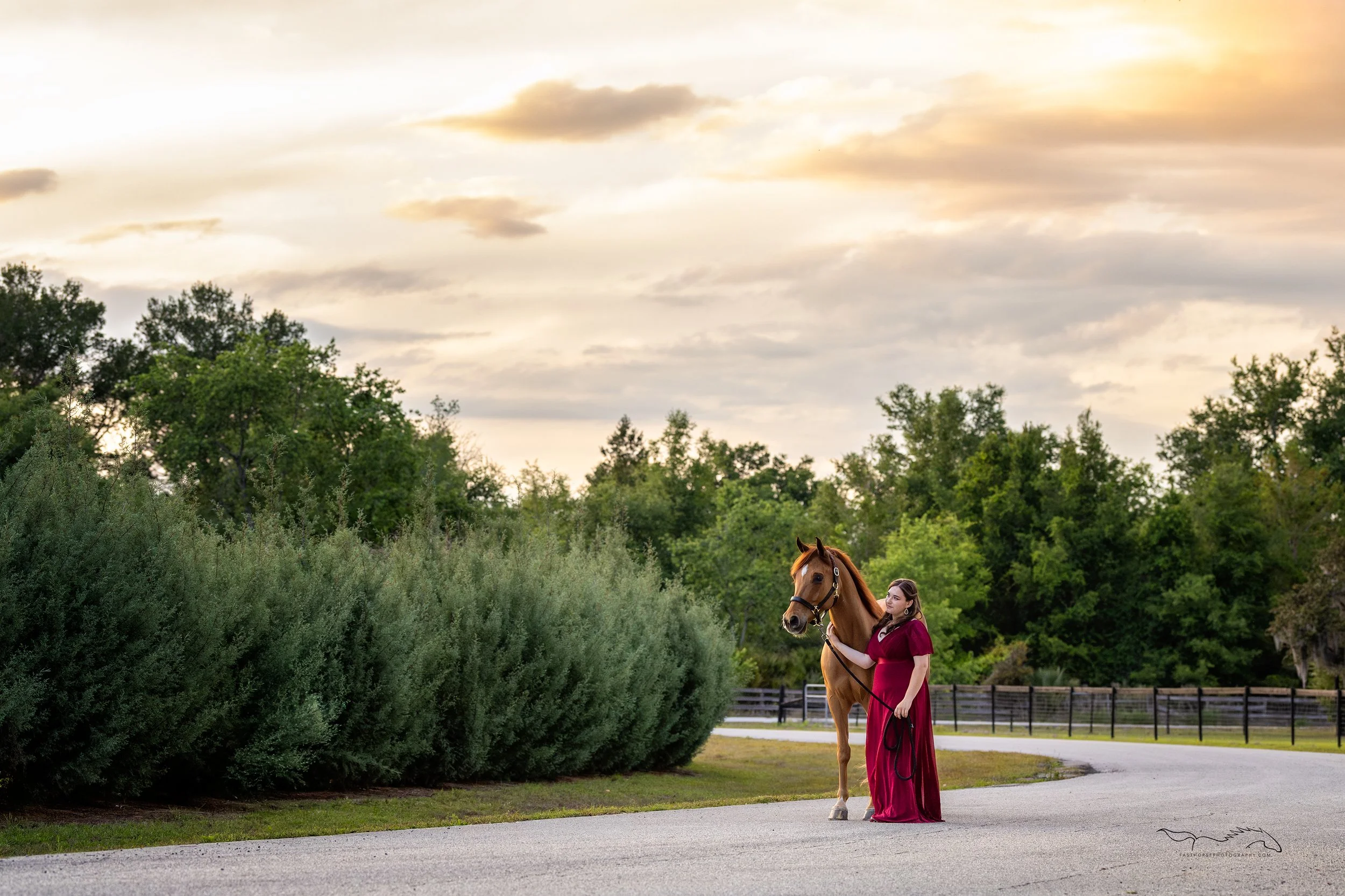 Your Barn Doesn't Have to Be Pretty to Create Beautiful Horse Portraits