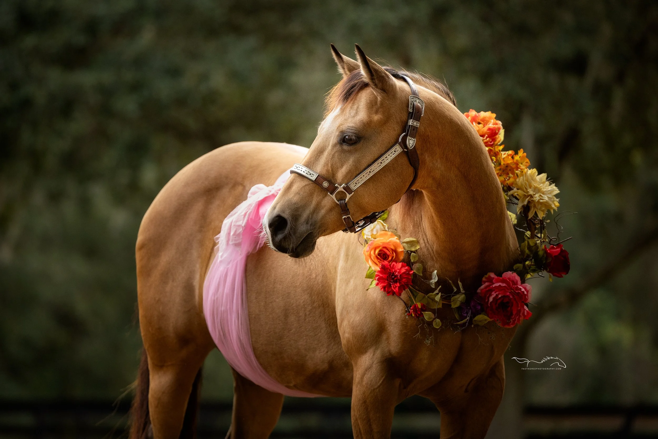 pregnant mare poses for her mare-ternity photography session