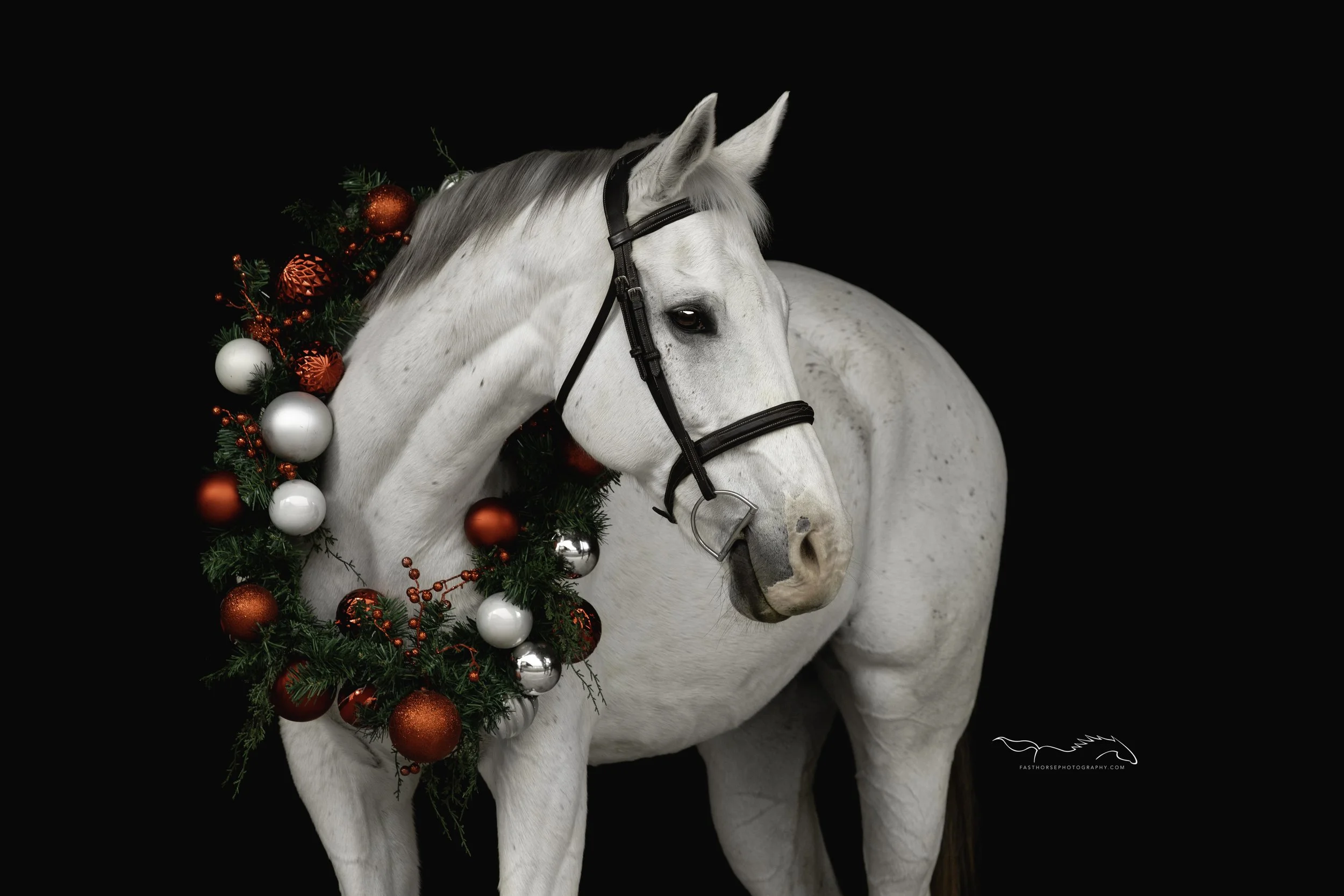 A Few Favorite Holiday Horses of 2021. Merry Christmas! — Fast Horse