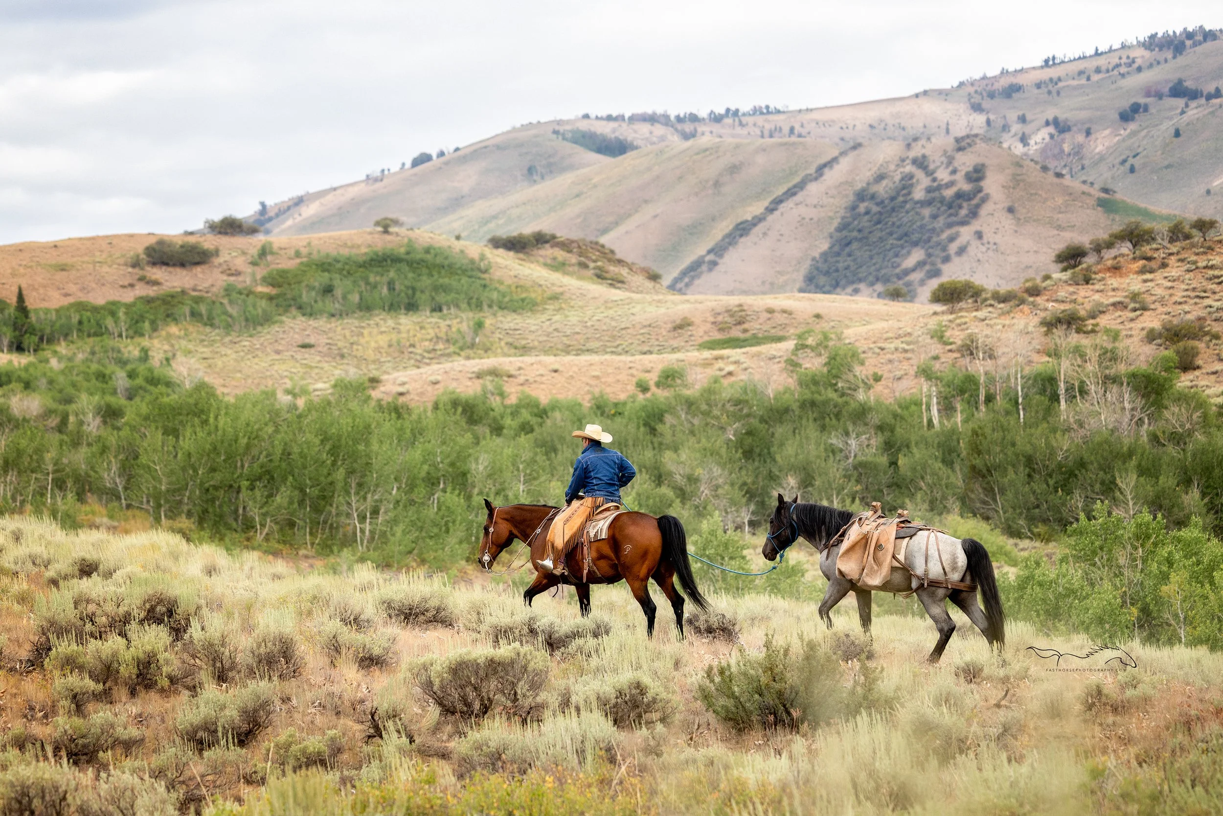 Cowboy ponies a horse across a mountainside.