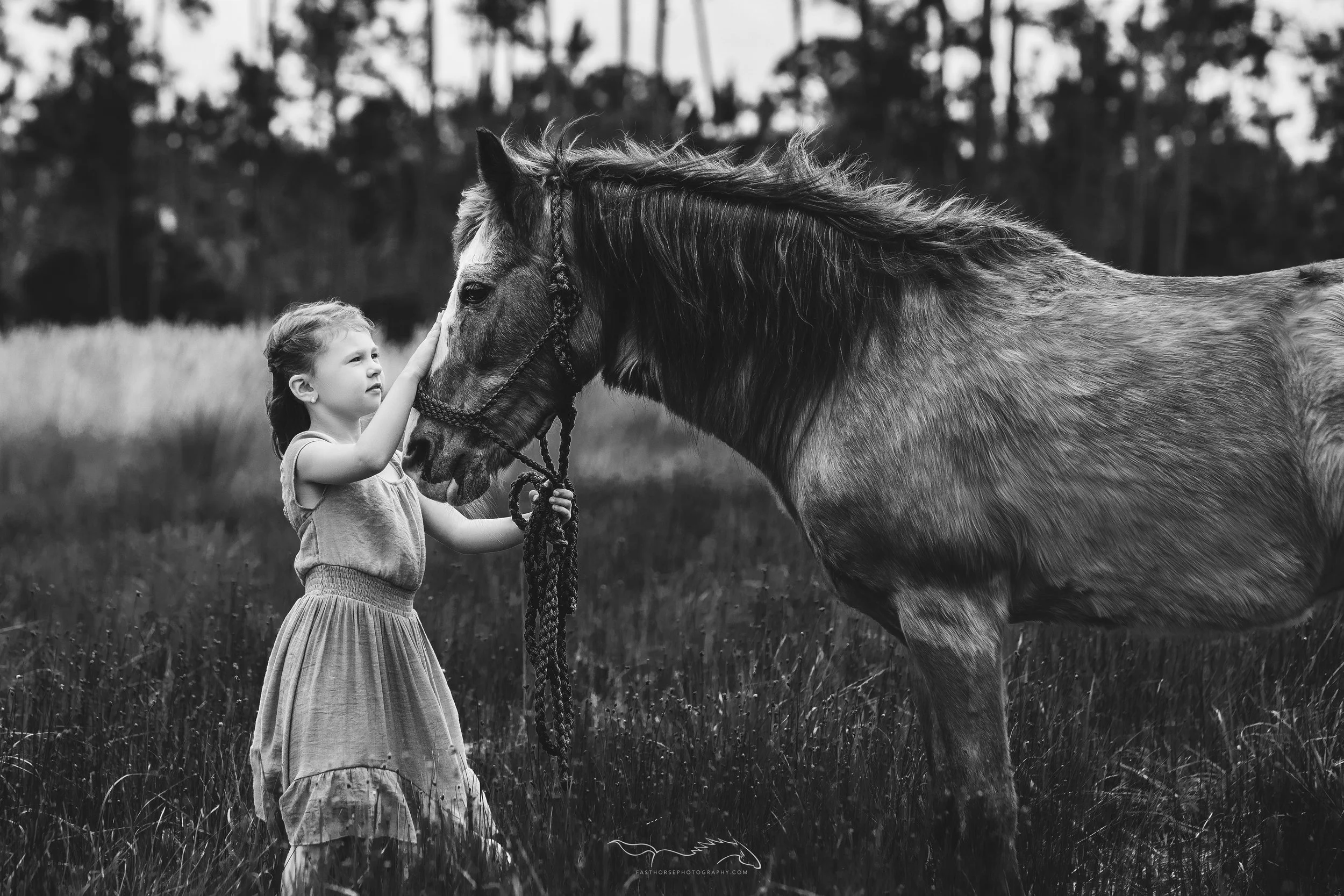 girl pets her horses face