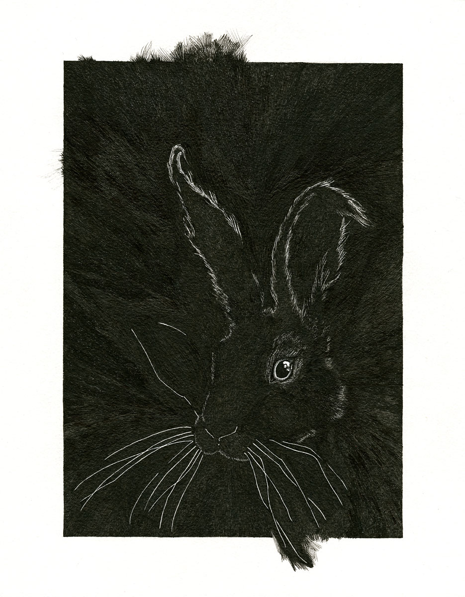 Watership Down.jpg