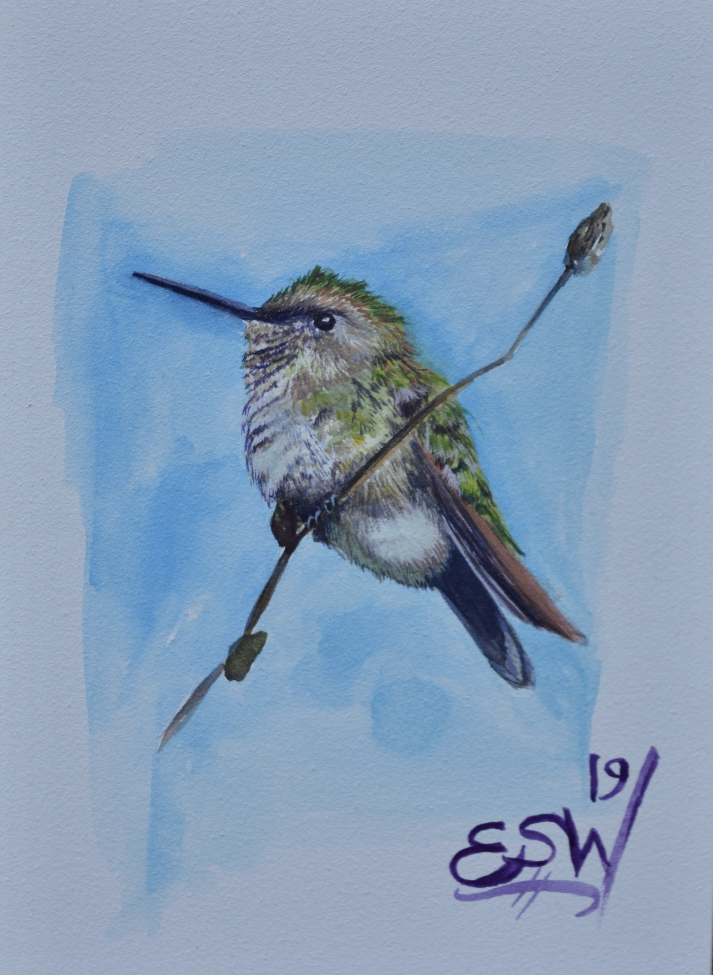 Hummingbird II - Sold