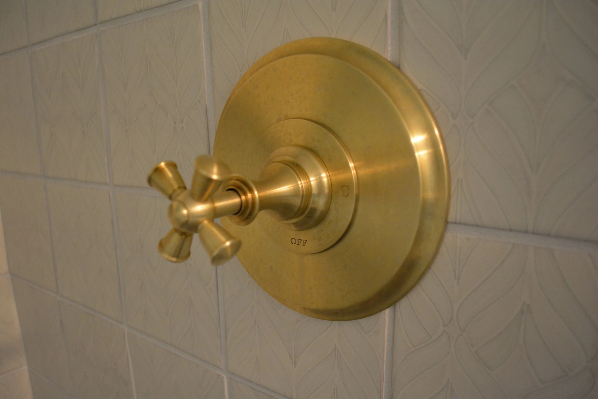 Shower Remodel Durango